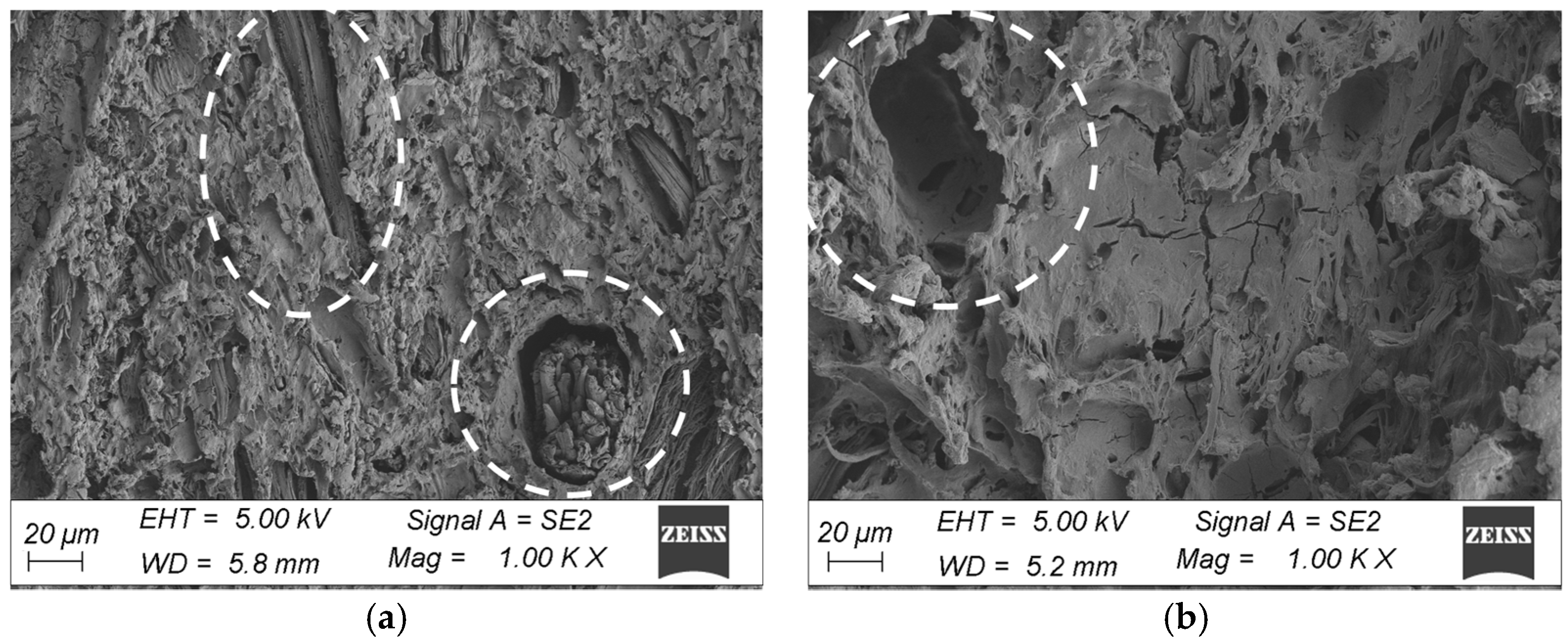 Materials 18 00097 g011 Materials 18 00097 g011