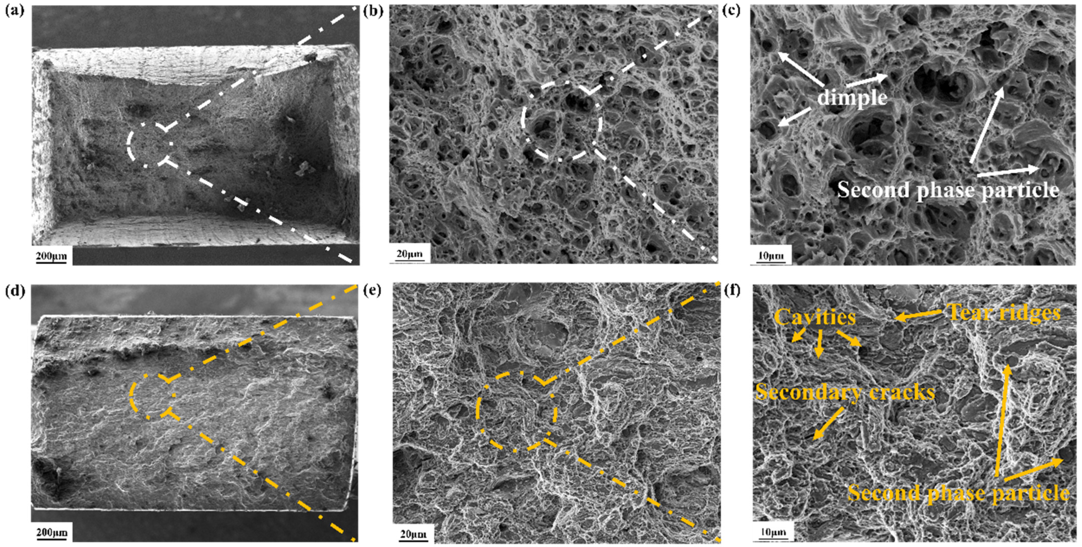 Materials 18 00099 g009