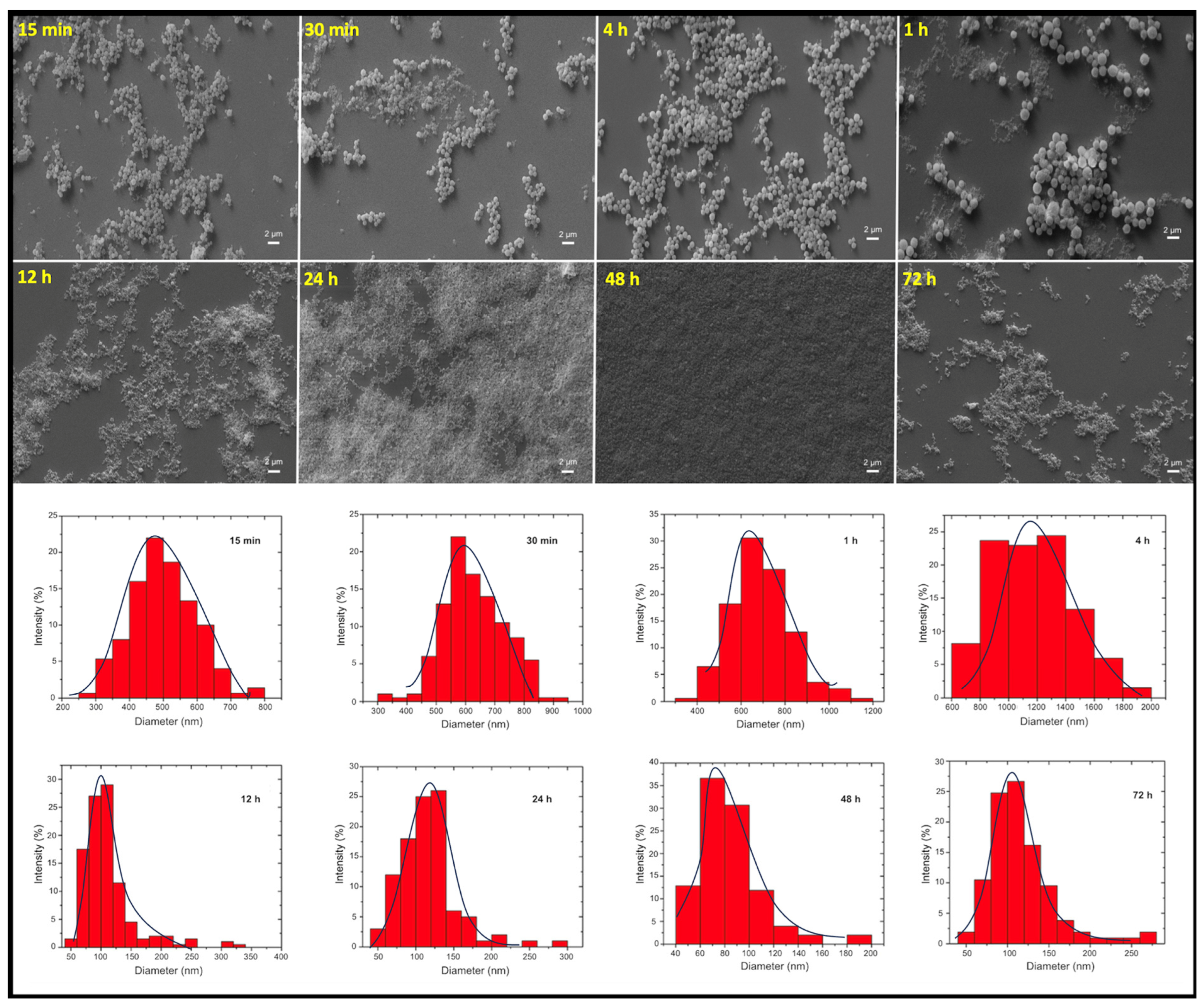 Materials 18 00108 g001