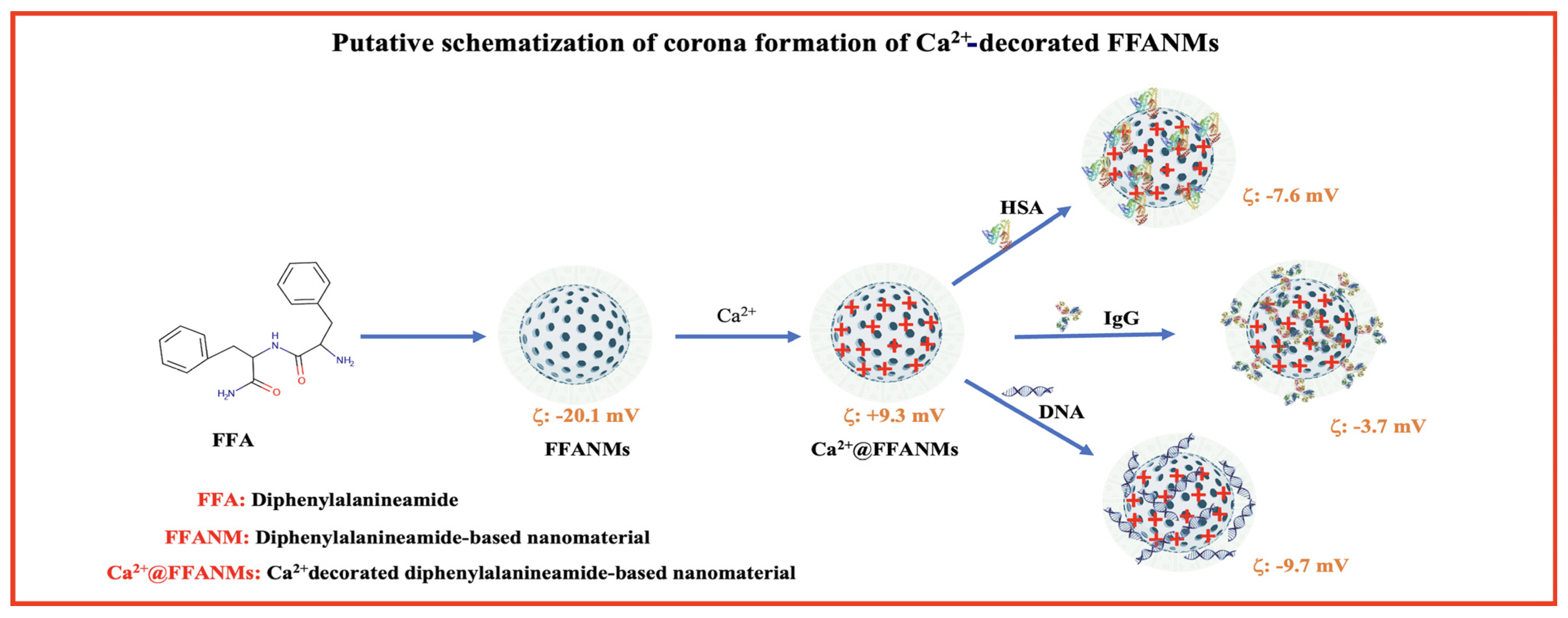 Materials 18 00108 g005