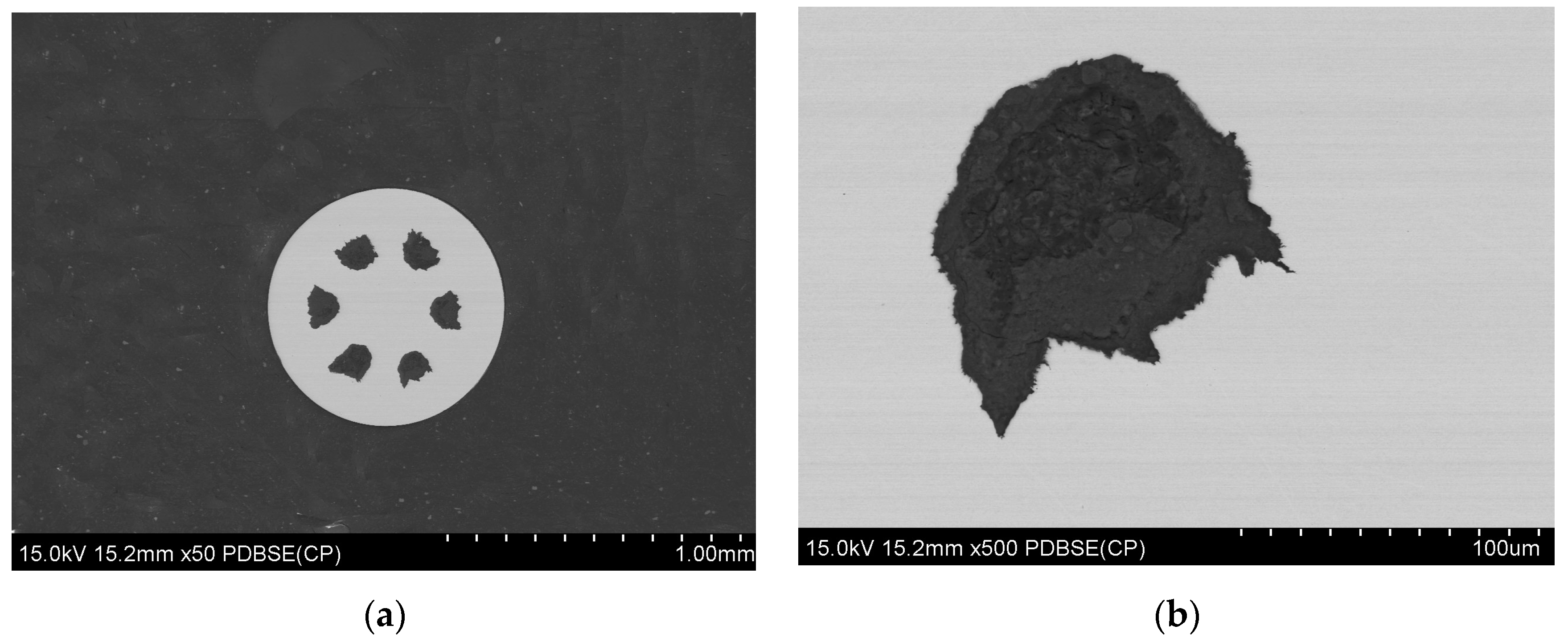 Materials 18 00126 g009