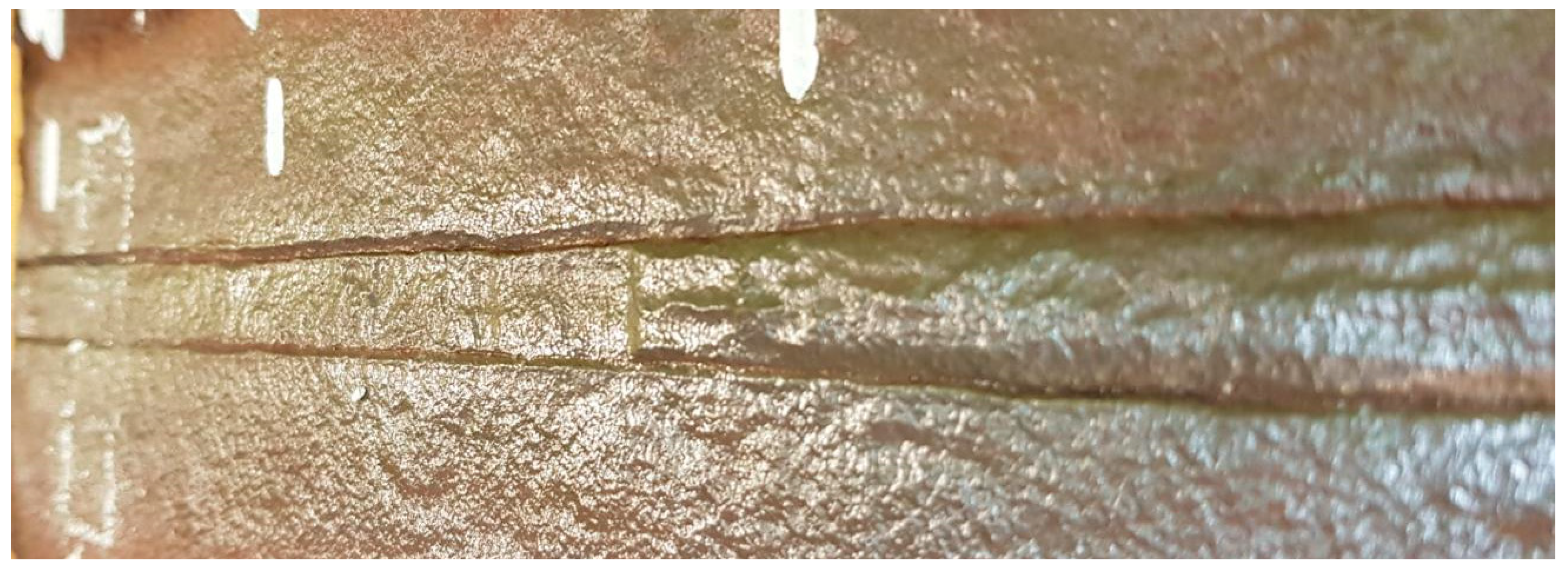 Materials 18 00134 g005