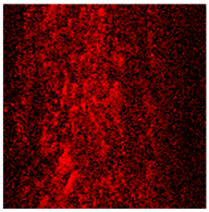 Materials 18 00143 i001