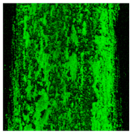 Materials 18 00143 i009