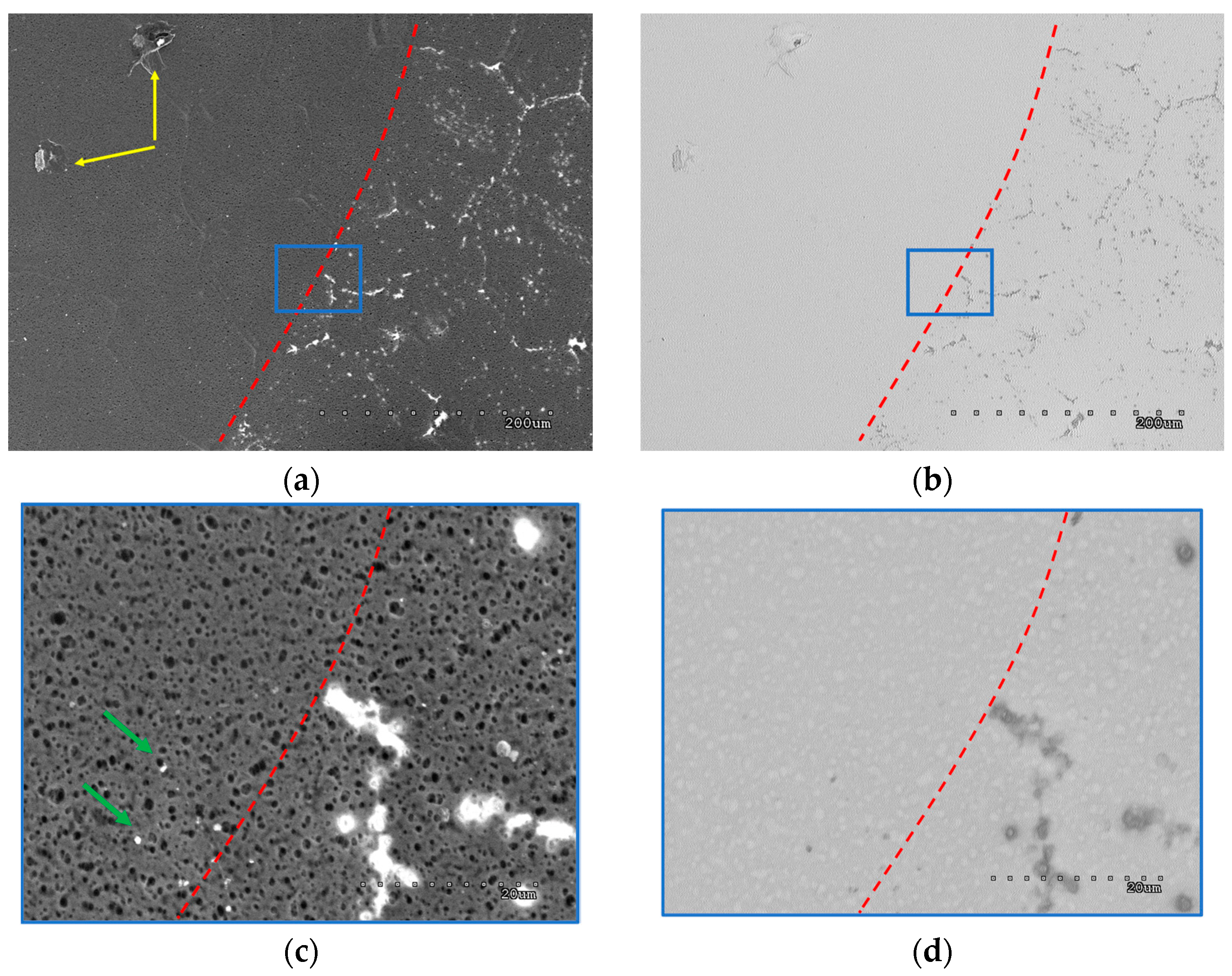 Materials 18 00163 g004