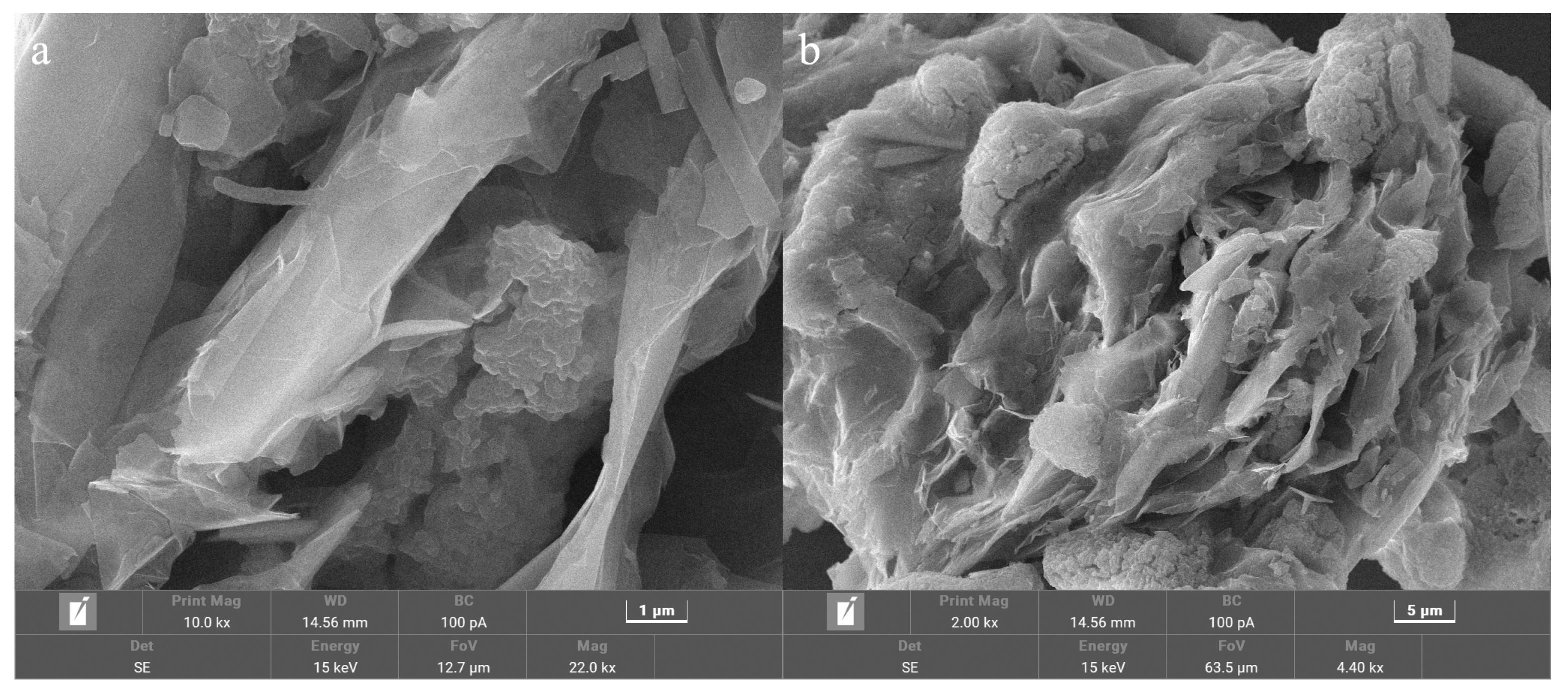 Materials 18 00164 g012