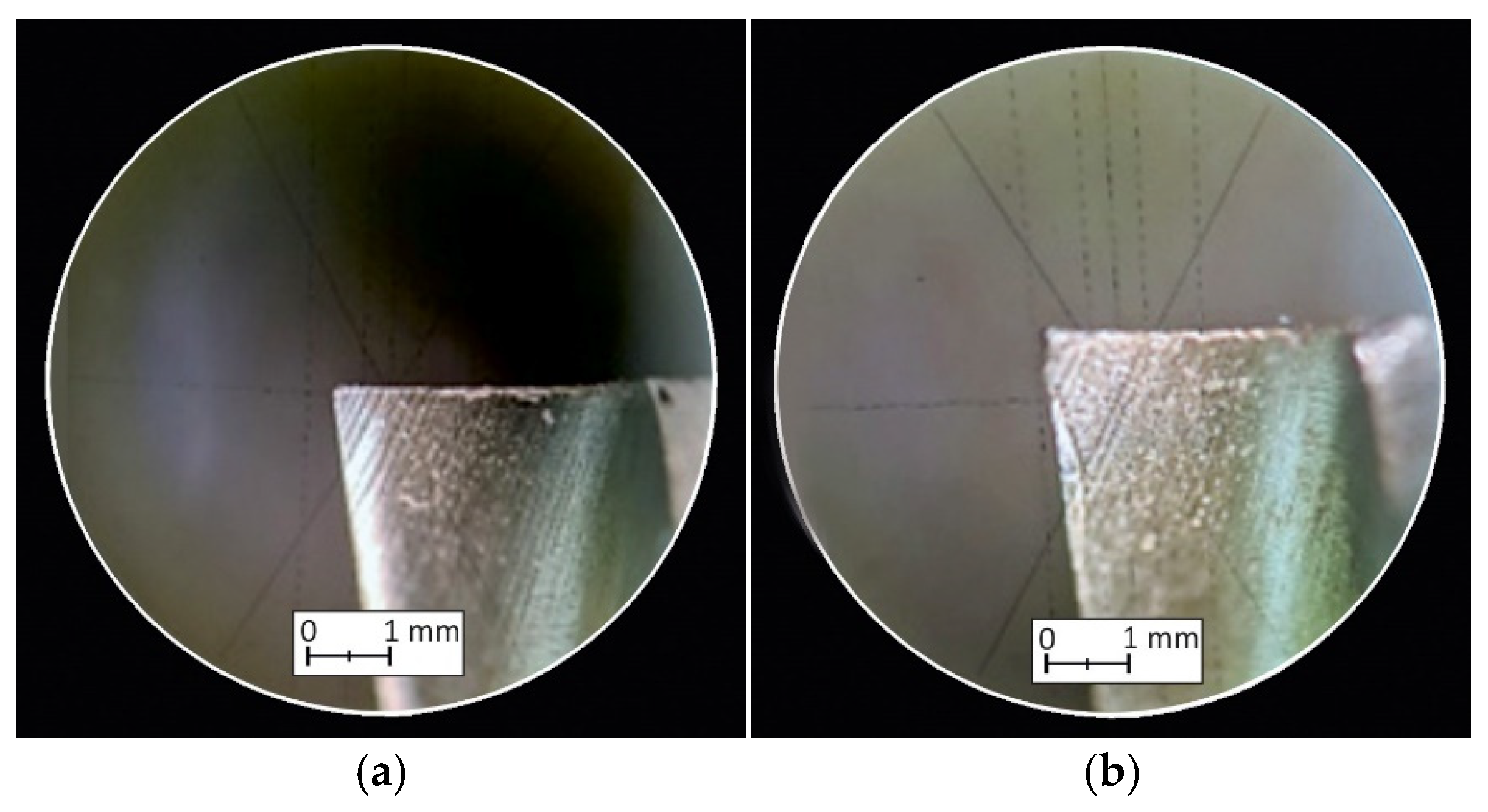 Materials 18 00193 g018a