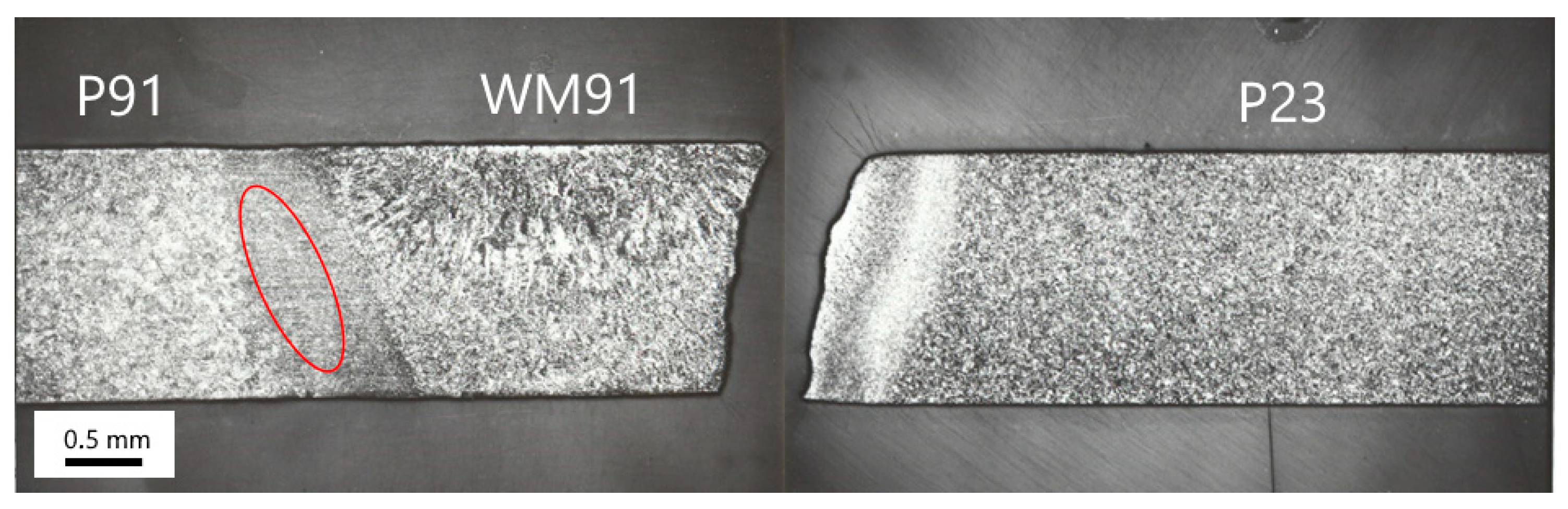 Materials 18 00194 g006