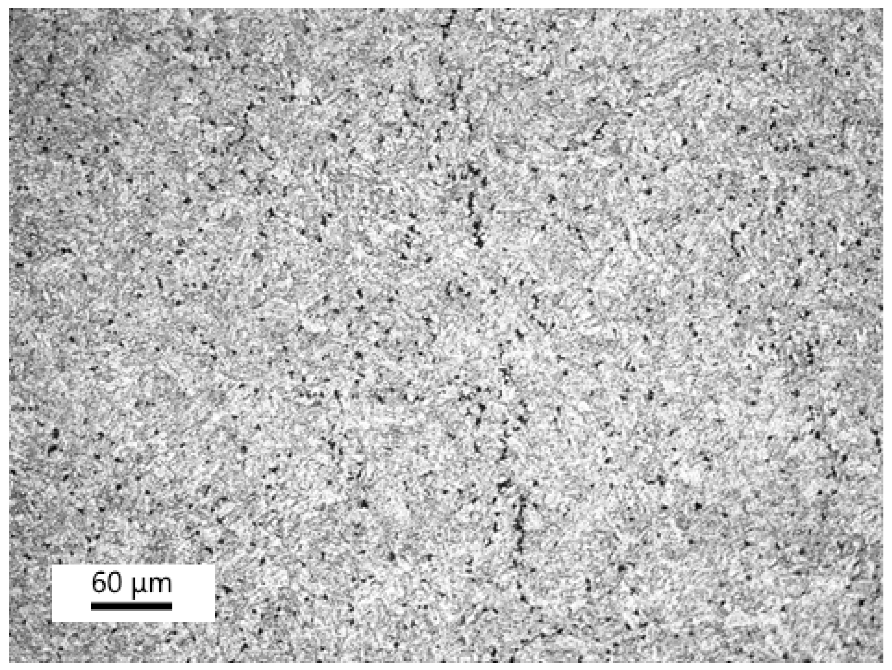 Materials 18 00194 g007