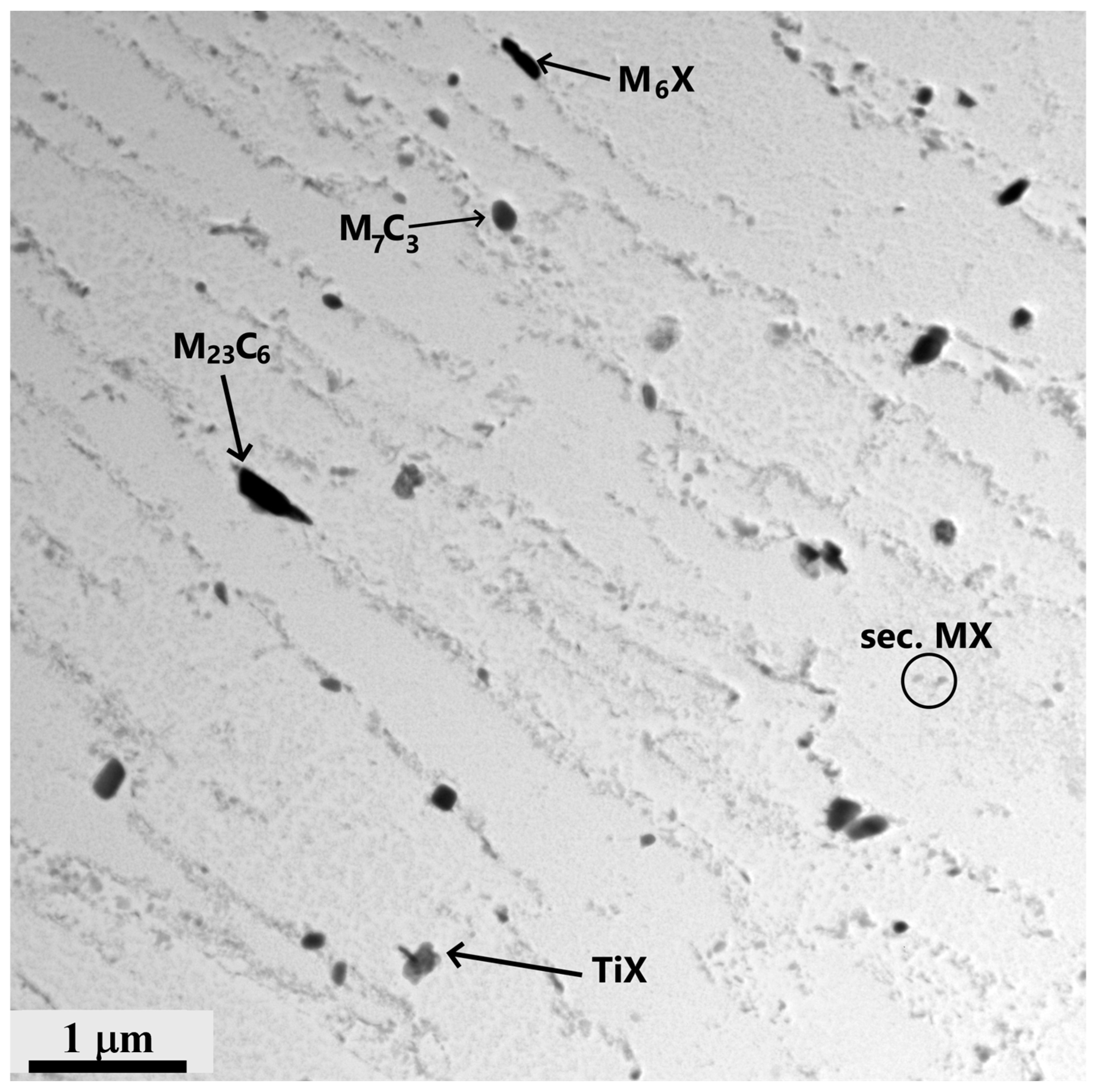 Materials 18 00194 g008