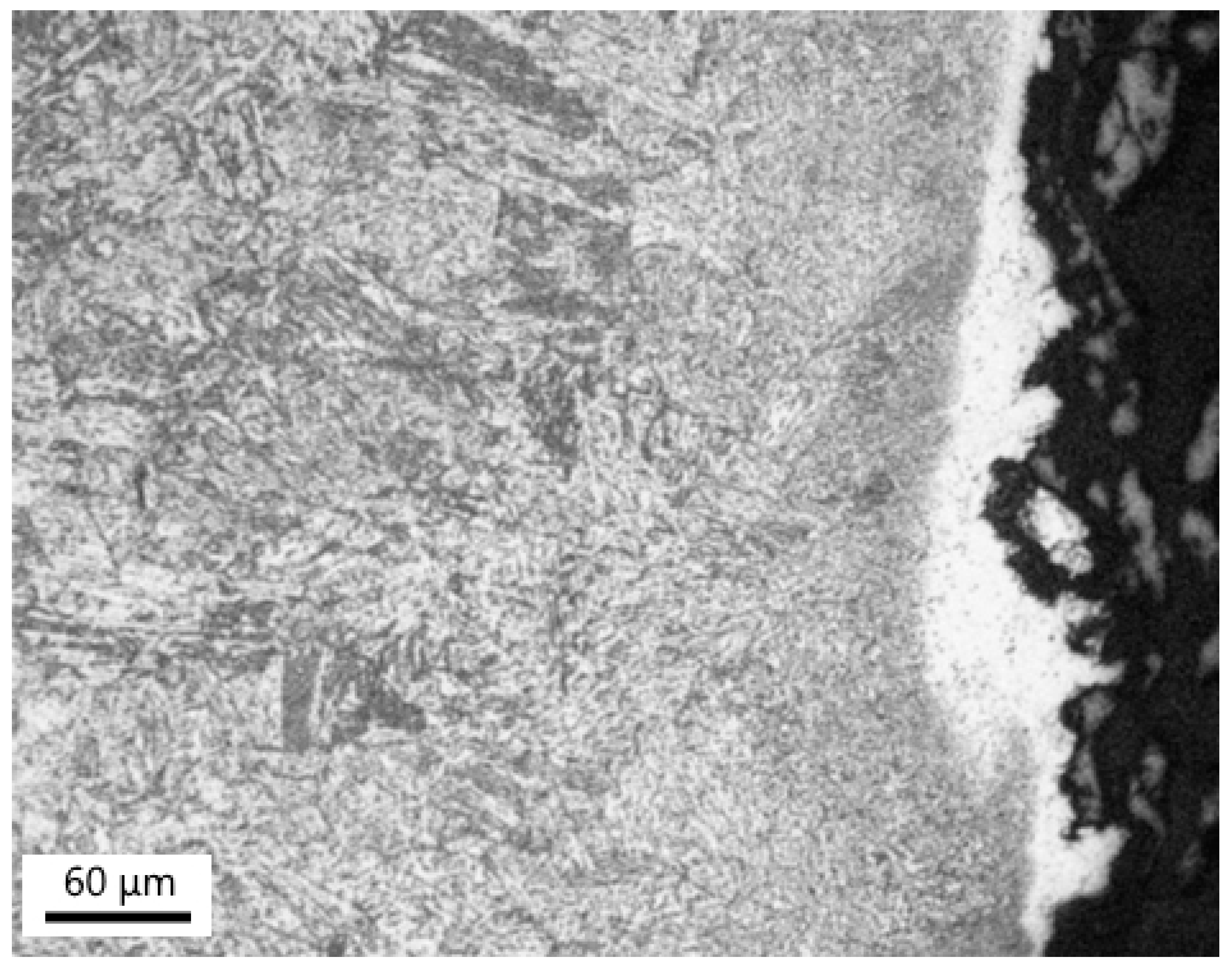 Materials 18 00194 g009