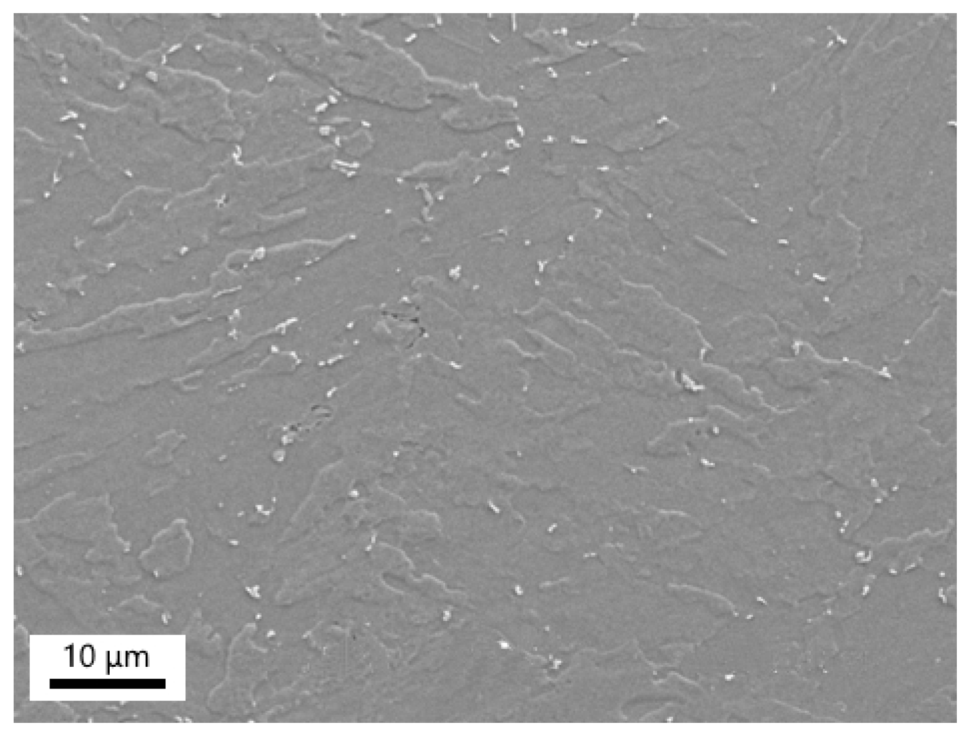 Materials 18 00194 g014