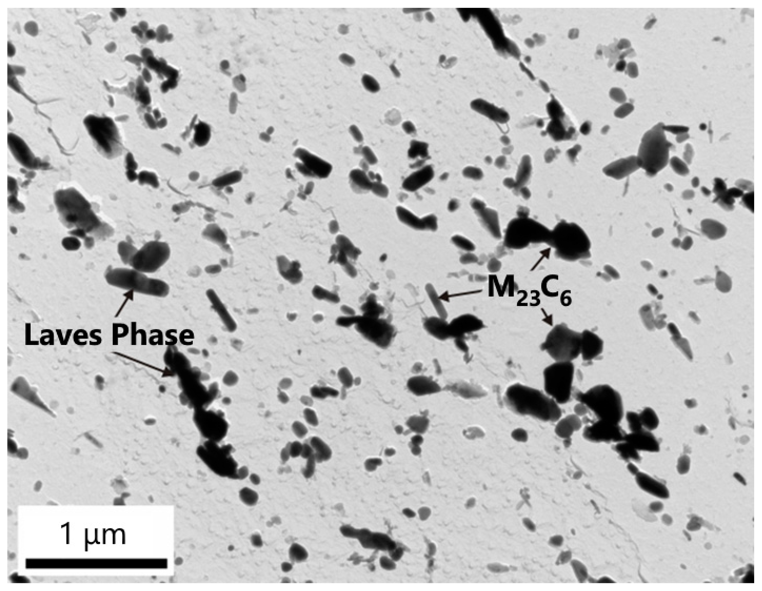 Materials 18 00194 g015