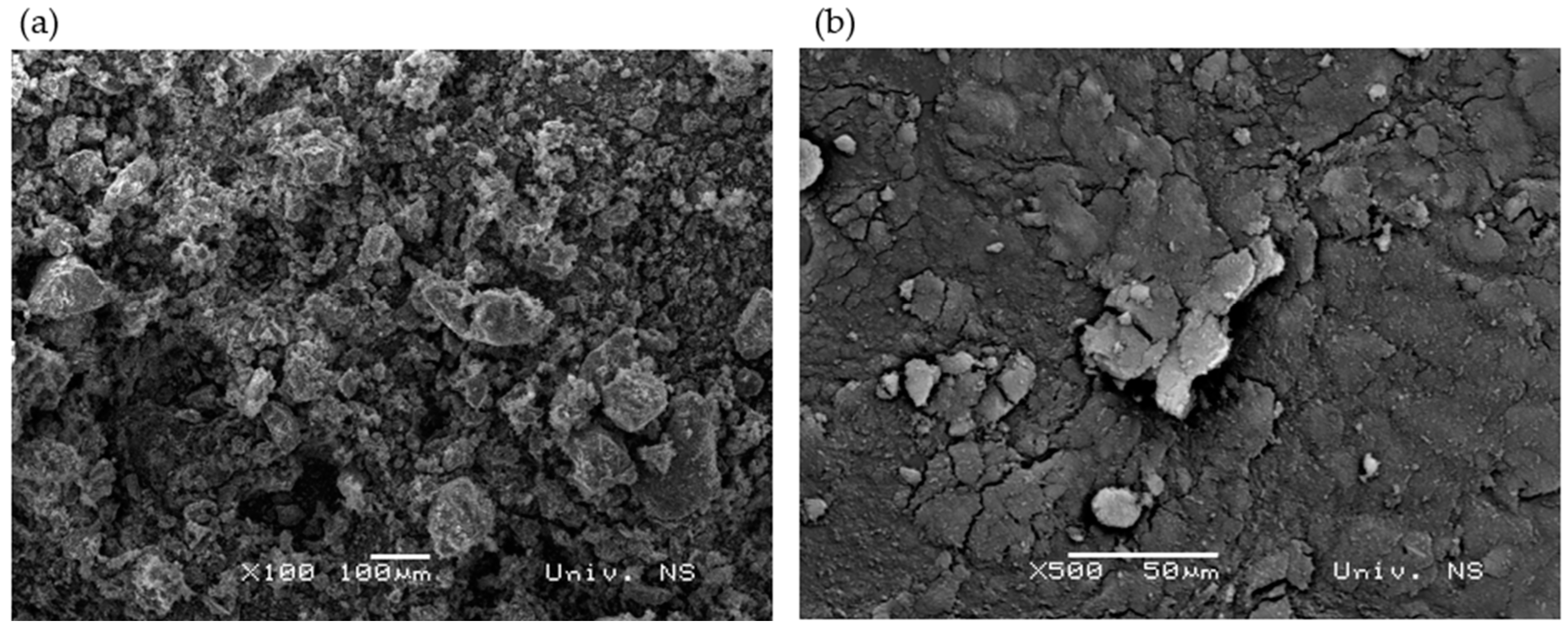 Materials 18 00204 g001