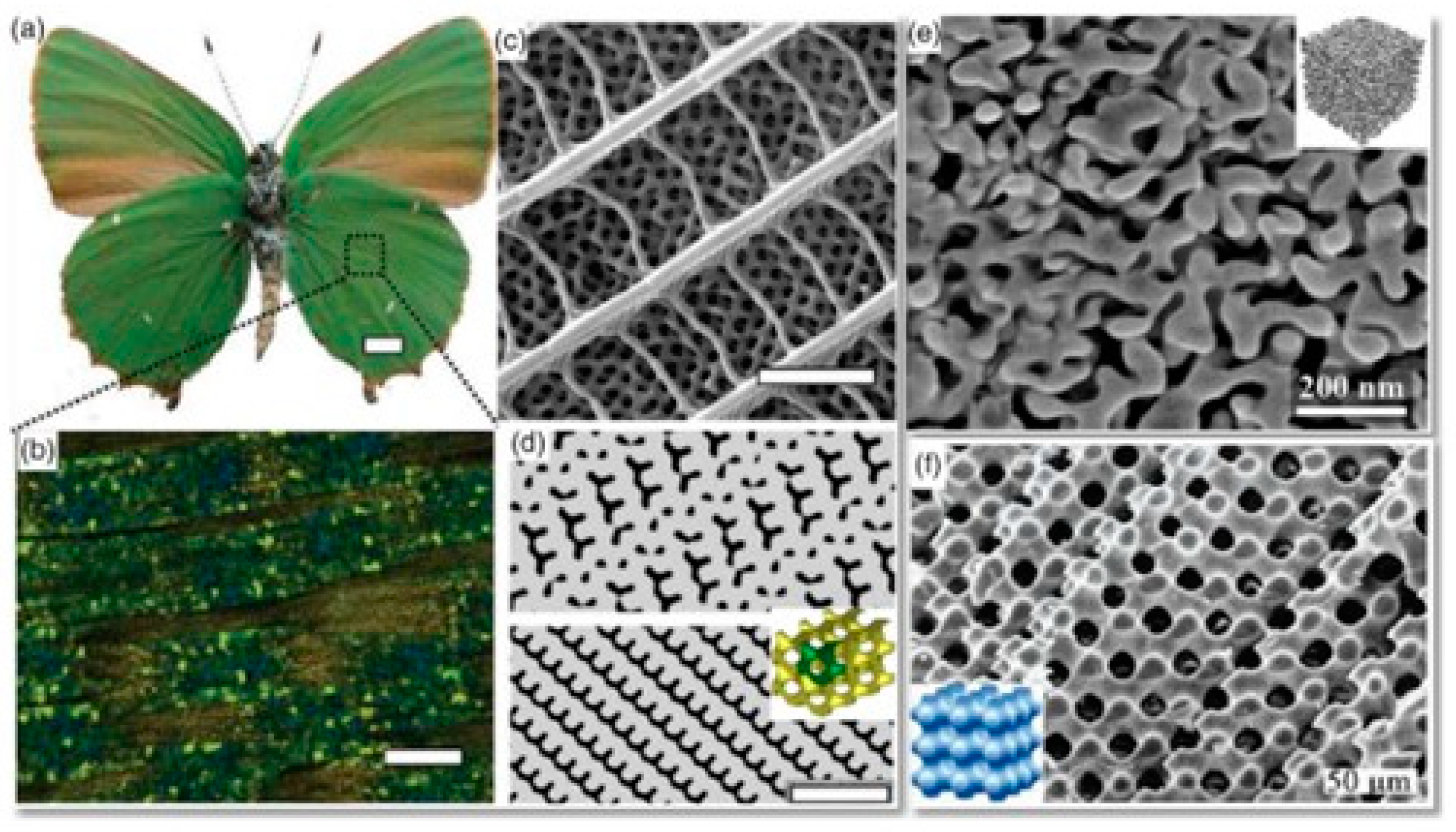 Materials 18 00211 g003