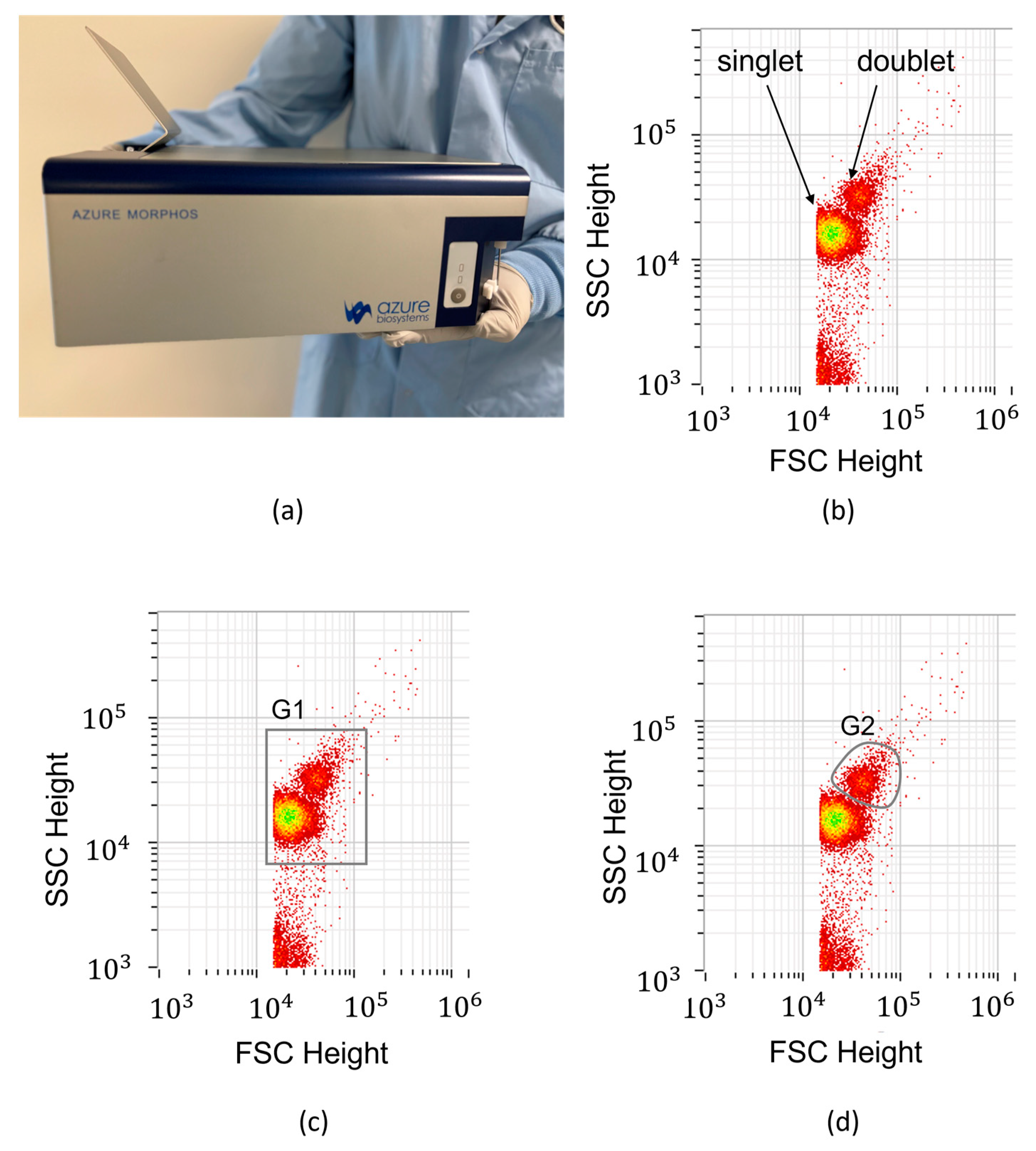 Materials 18 00215 g005