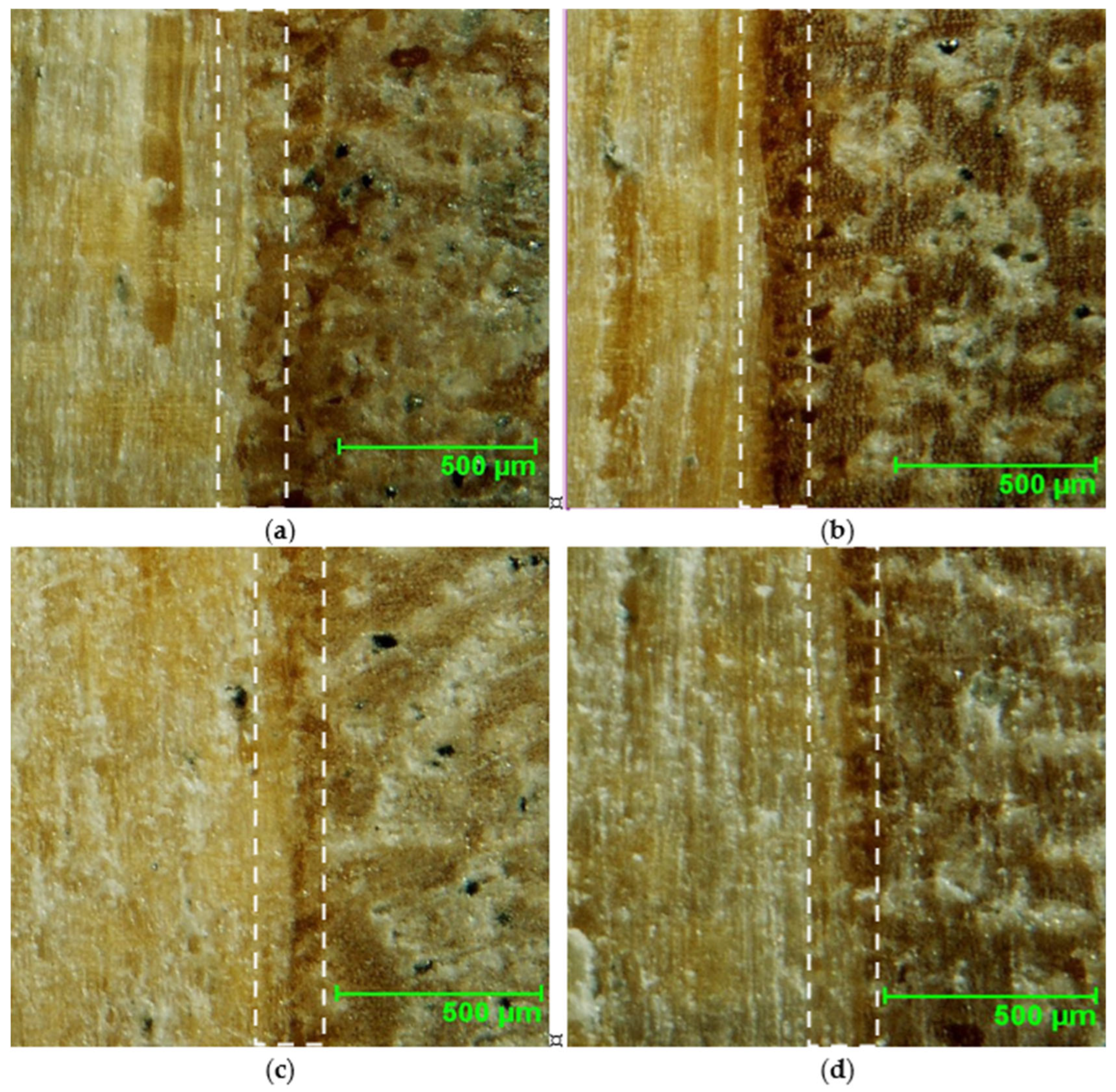 Materials 18 00226 g005