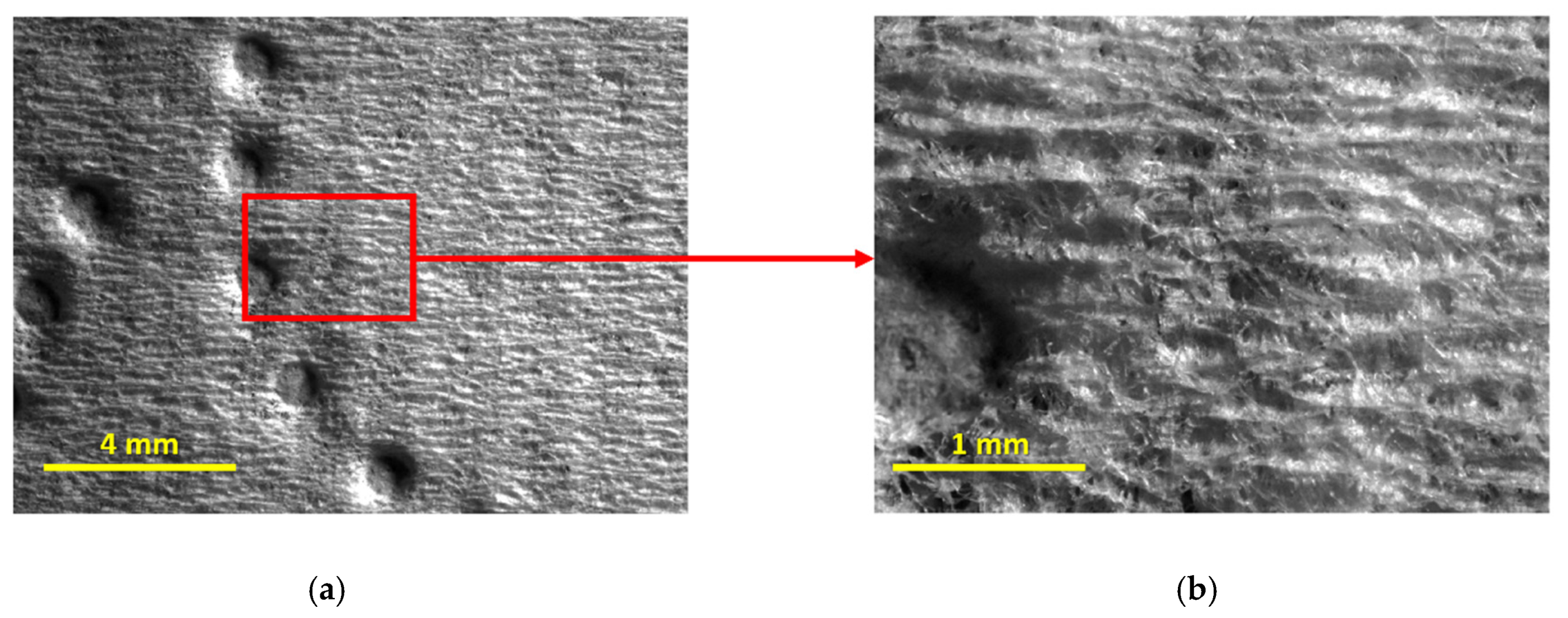 Materials 18 00228 g010