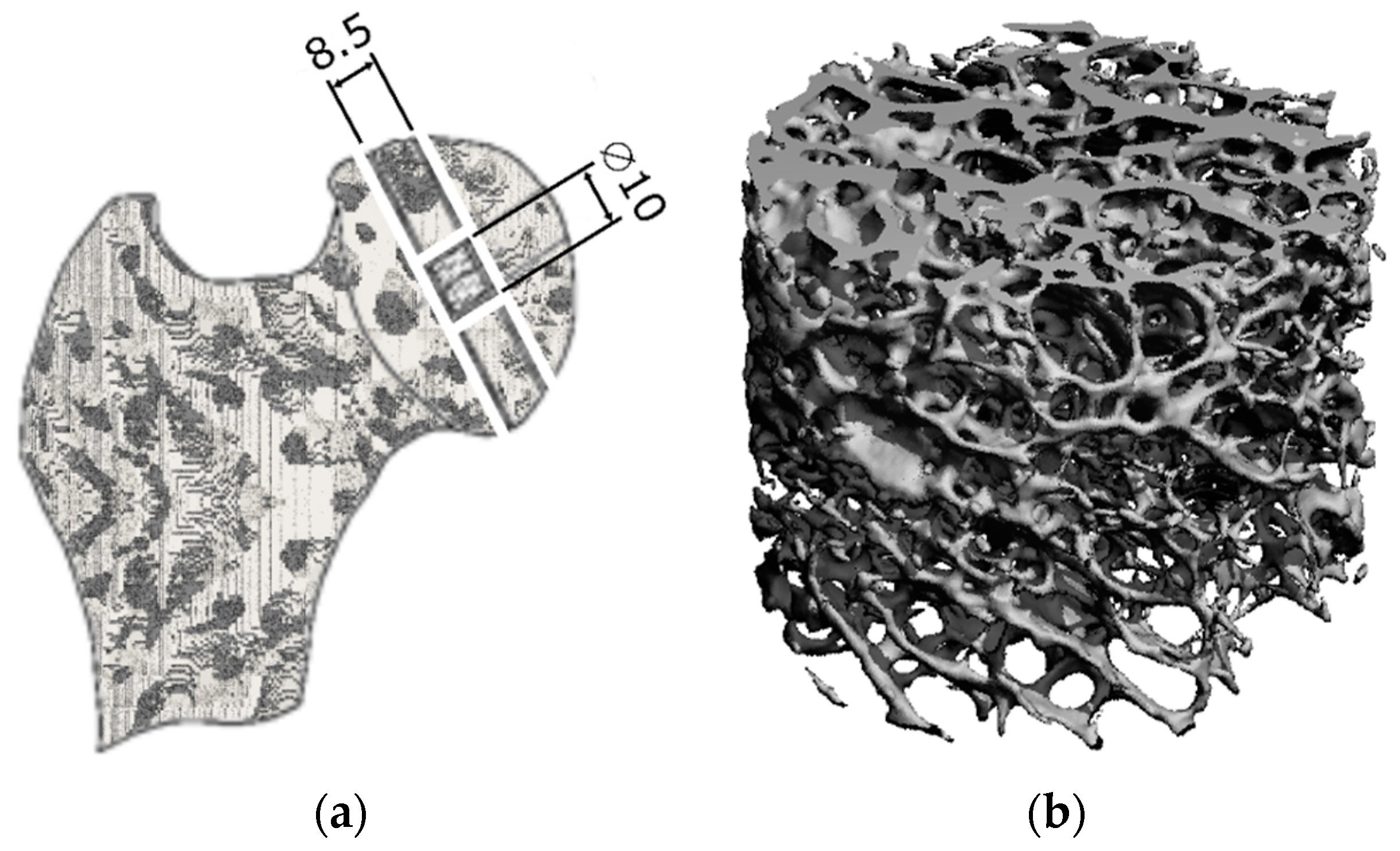 Materials 18 00232 g001