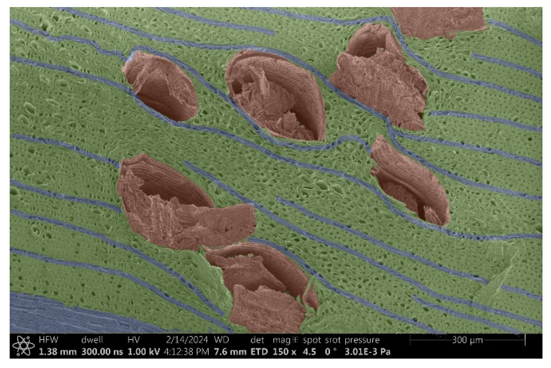 Materials 18 00236 g008