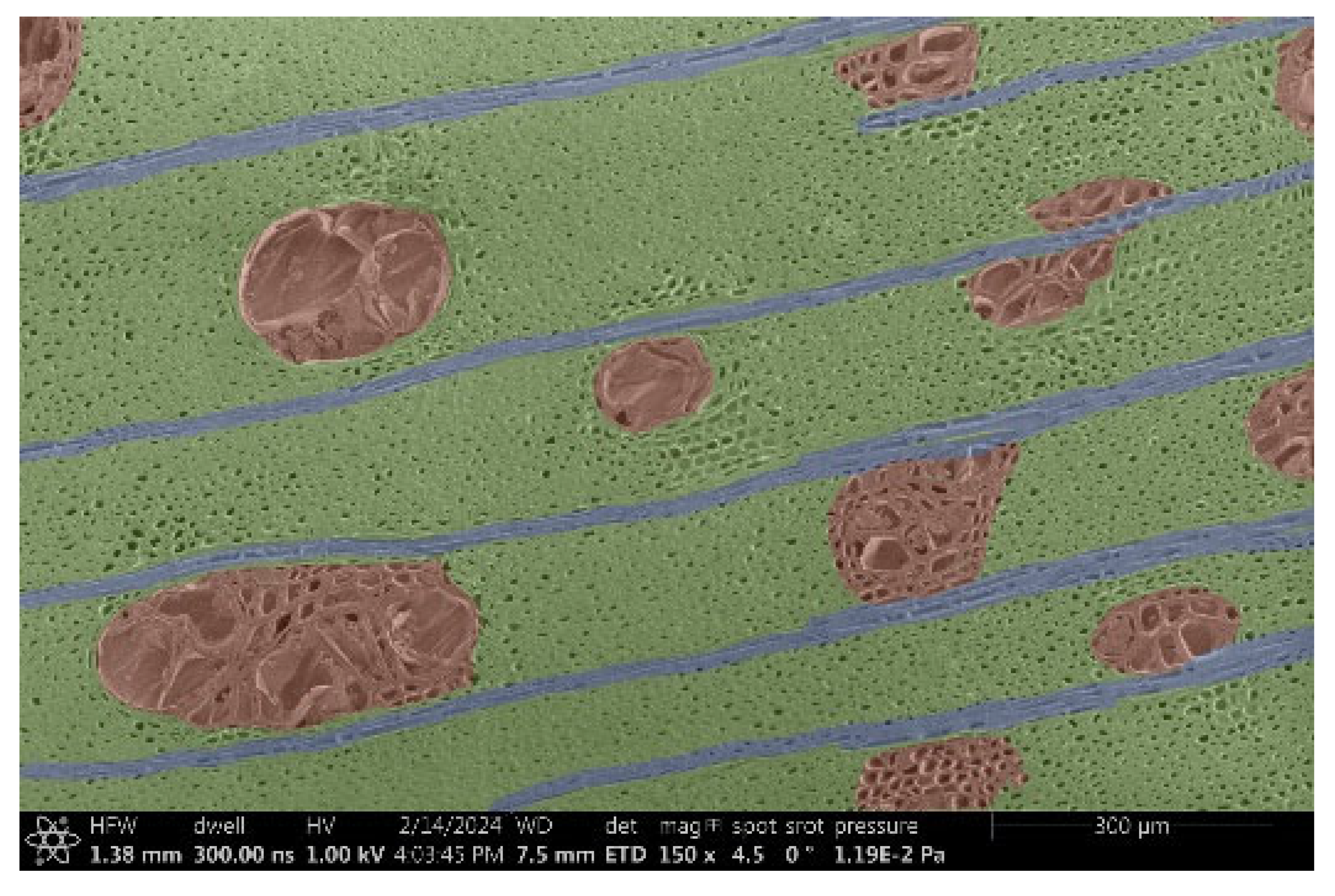 Materials 18 00236 i001