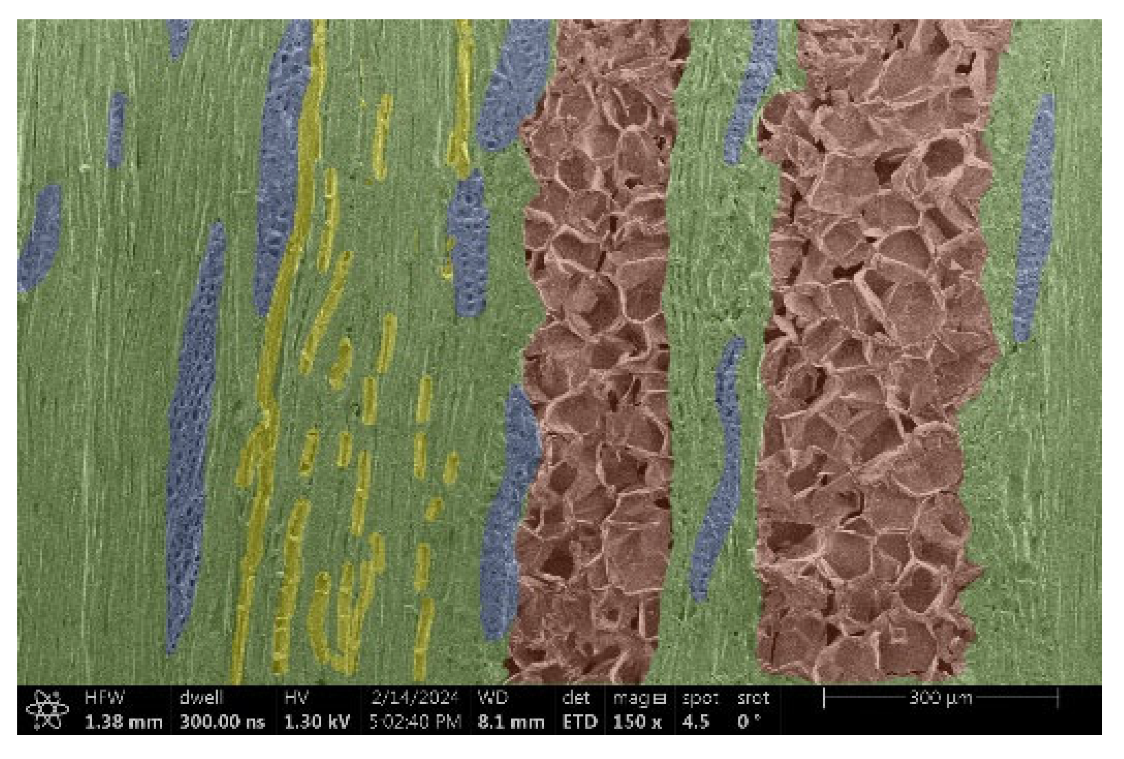 Materials 18 00236 i002