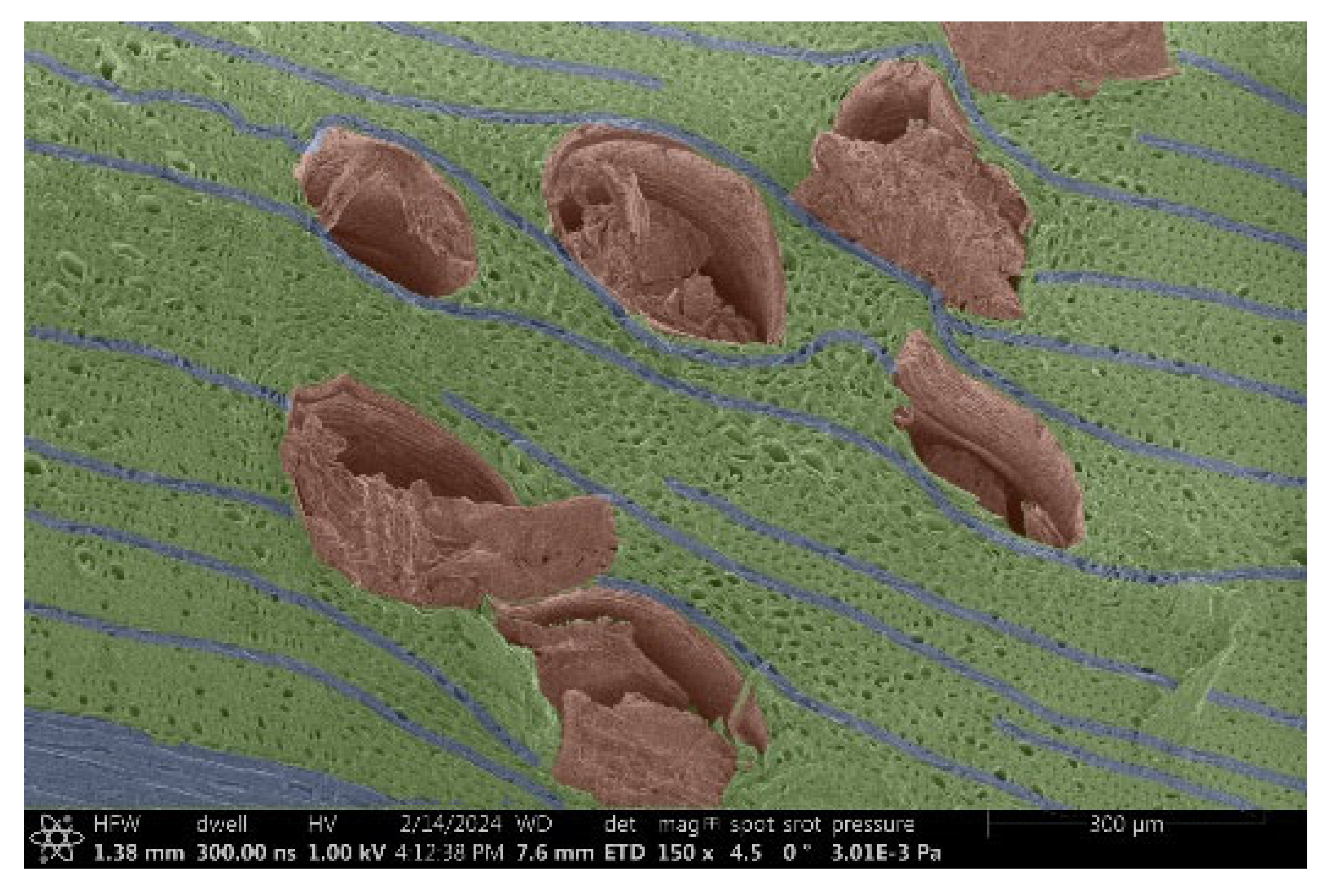 Materials 18 00236 i003