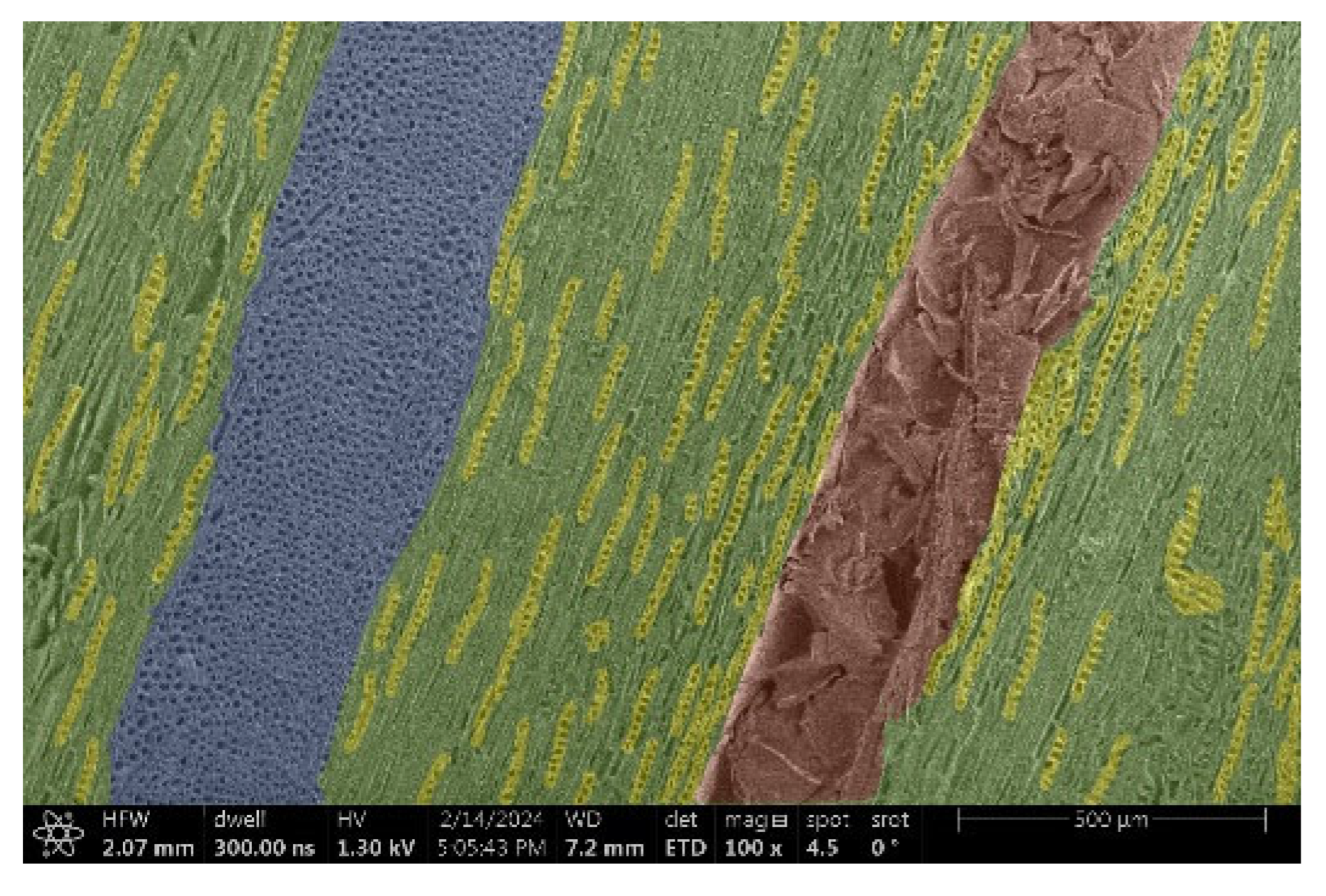 Materials 18 00236 i004