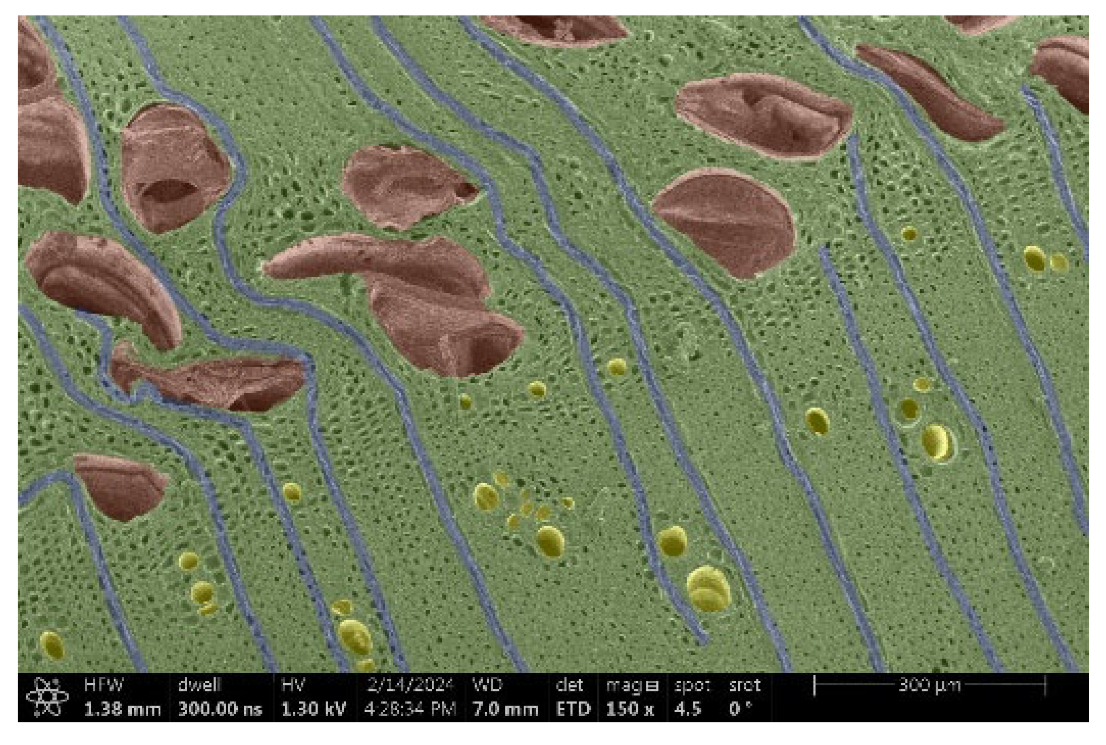 Materials 18 00236 i007