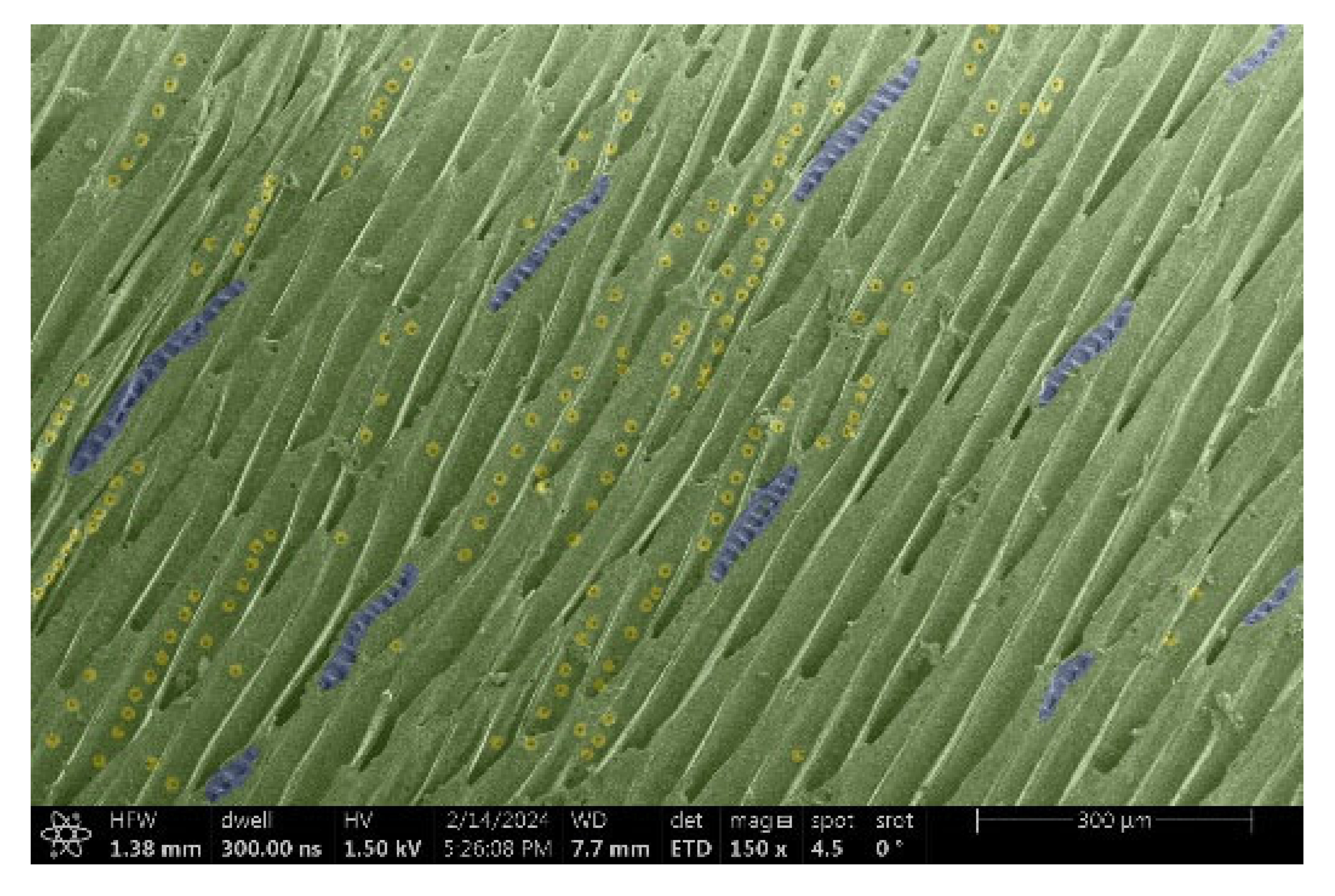 Materials 18 00236 i010