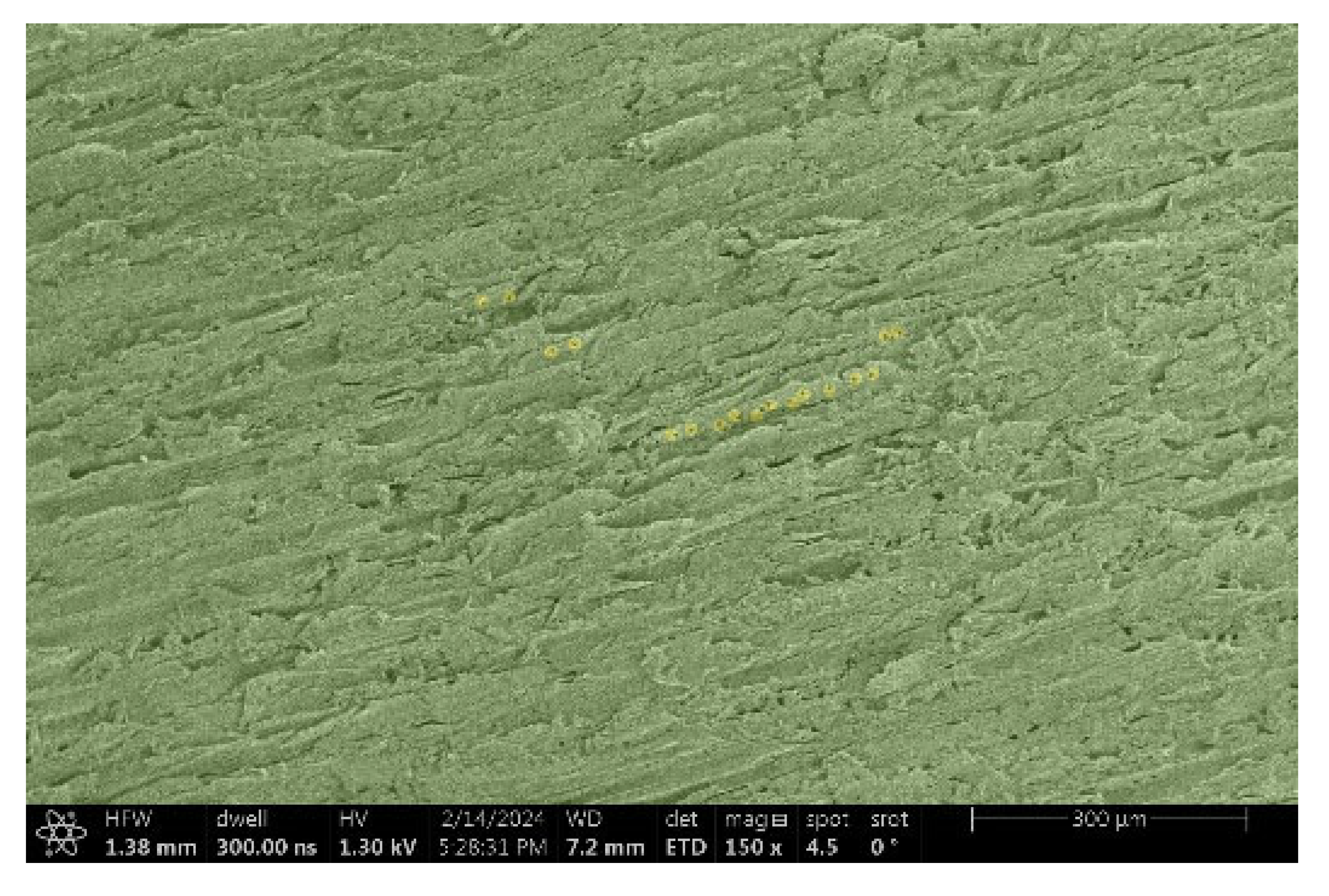 Materials 18 00236 i012