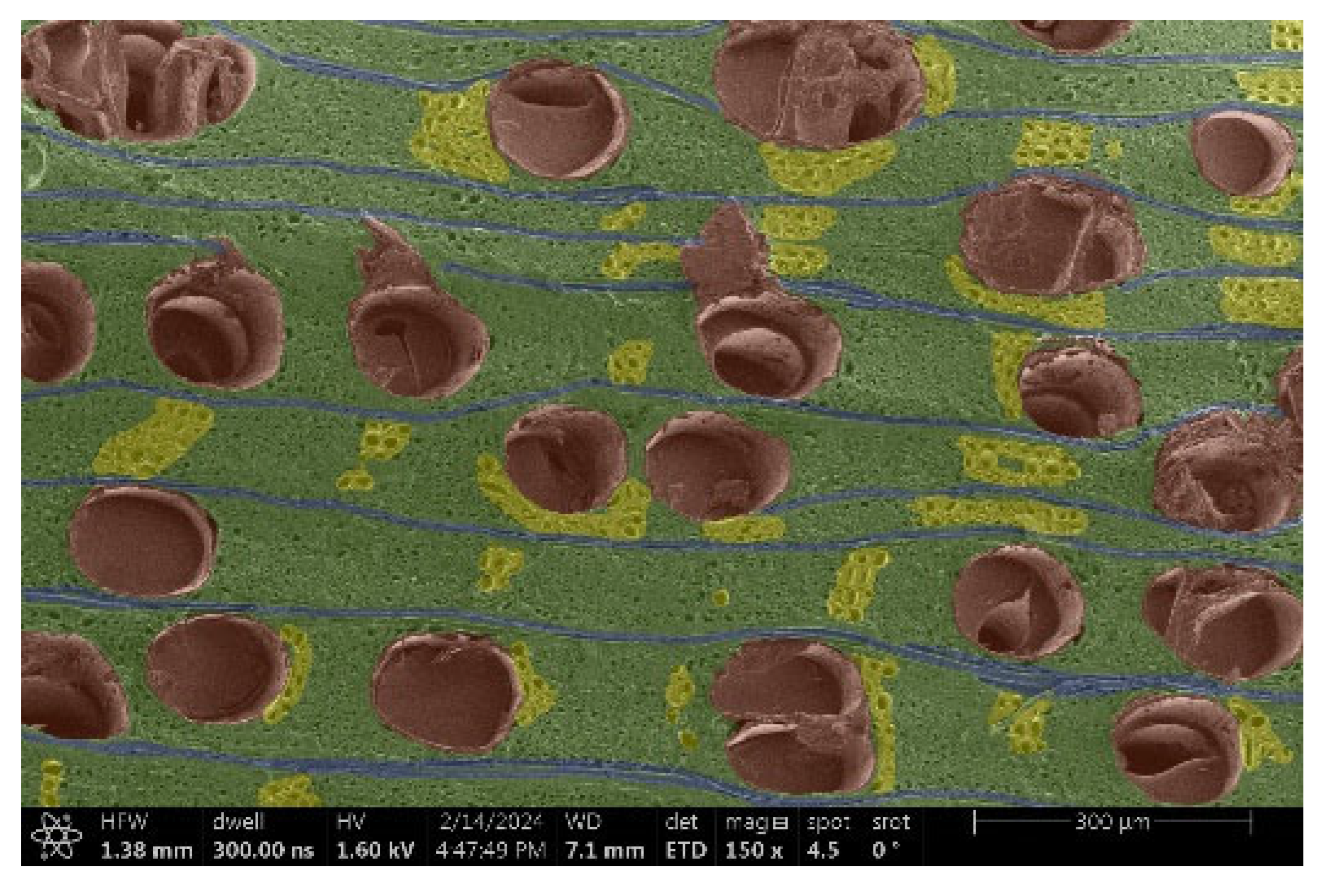 Materials 18 00236 i013