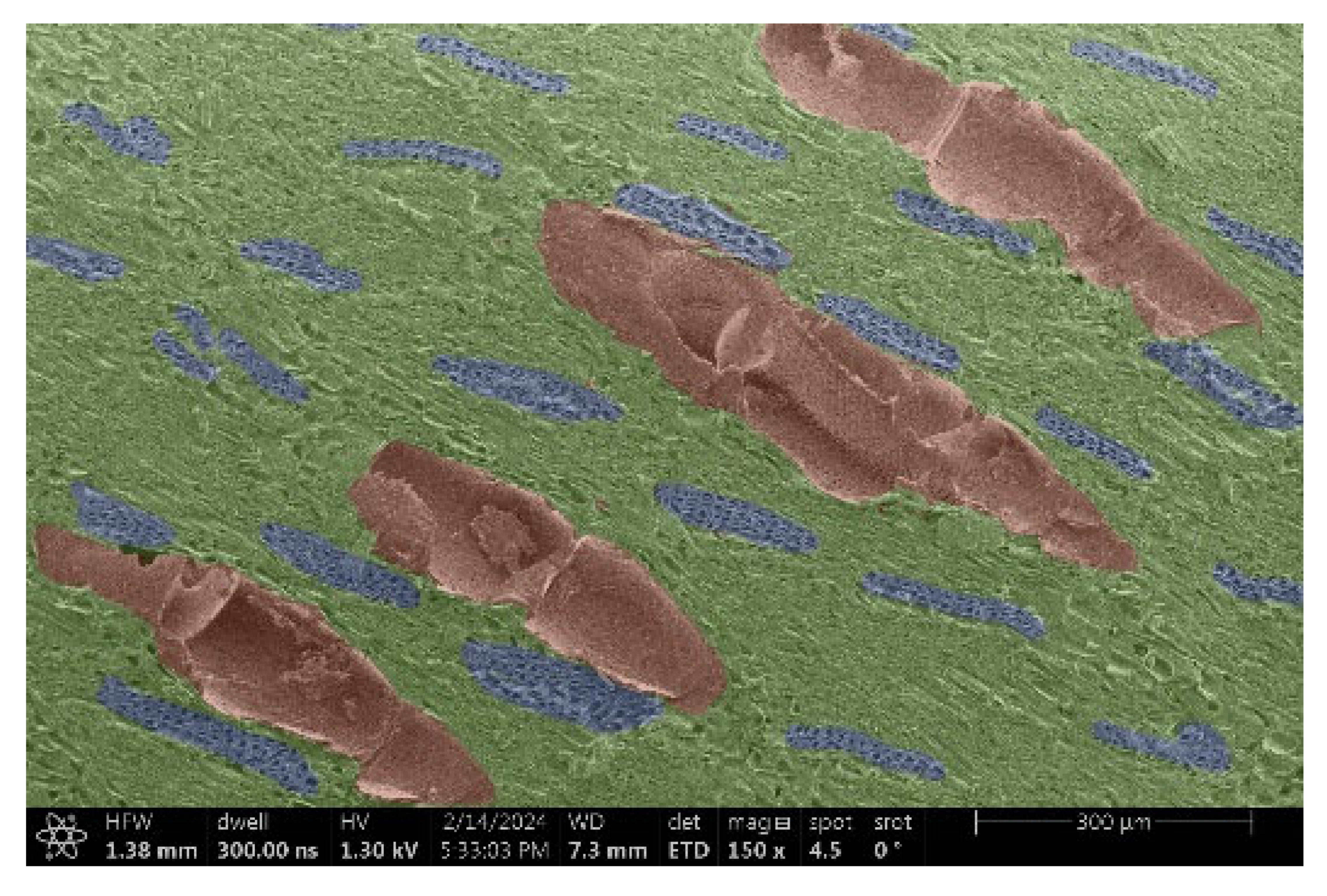 Materials 18 00236 i014