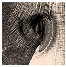 Materials 18 00256 i021