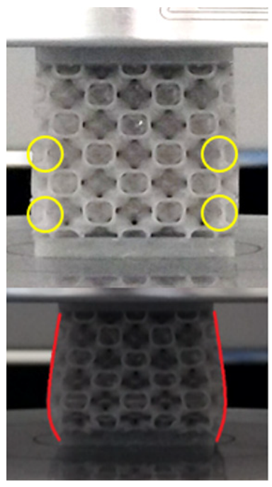 Materials 18 00260 i028