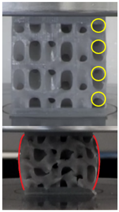 Materials 18 00260 i038