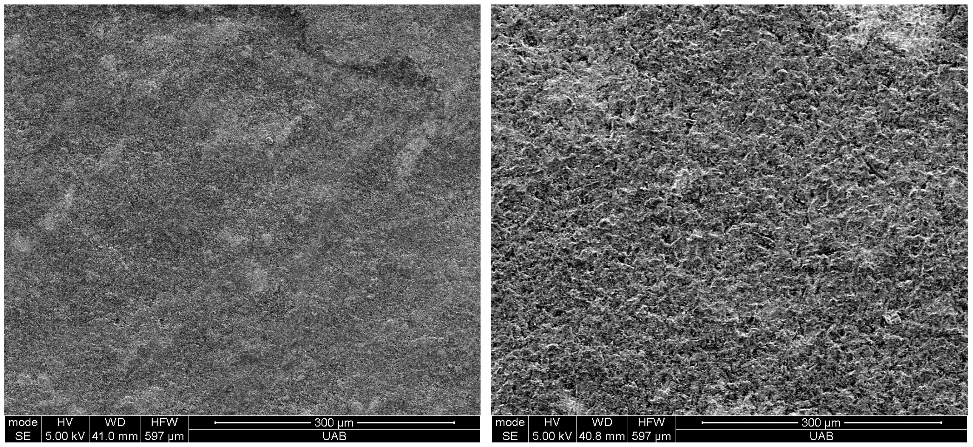 Materials 18 00265 g005