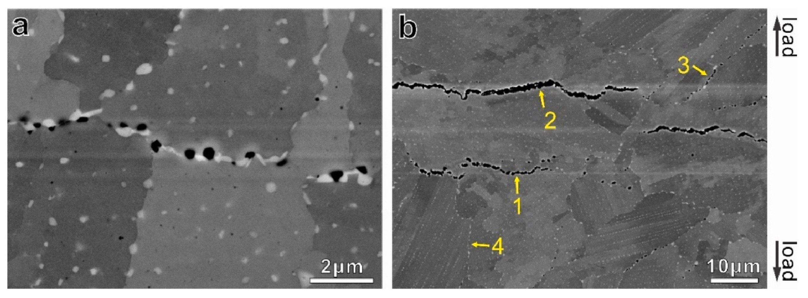 Materials 18 00276 g019