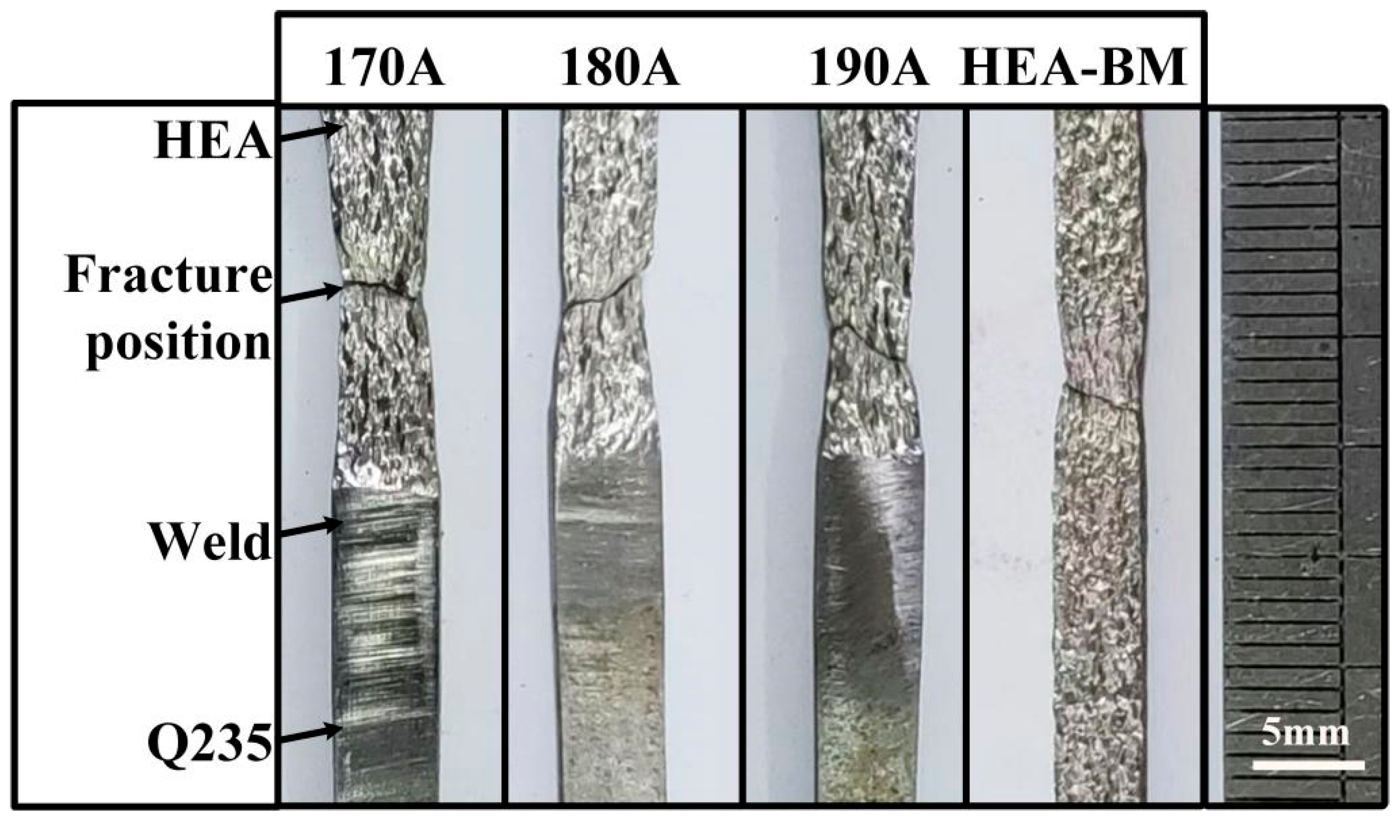 Materials 18 00280 g010