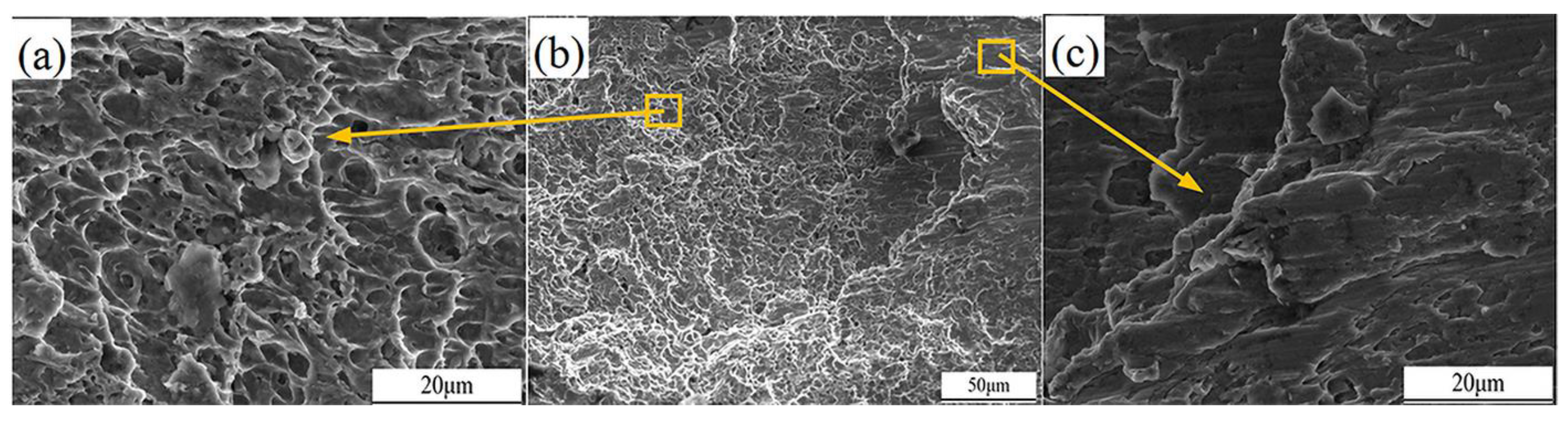 Materials 18 00288 g020