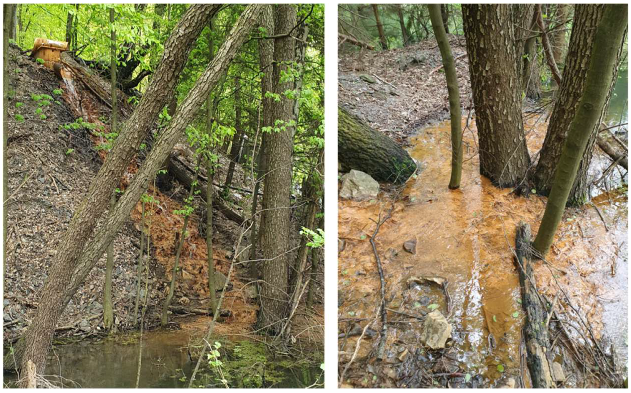 Materials 18 00289 g001