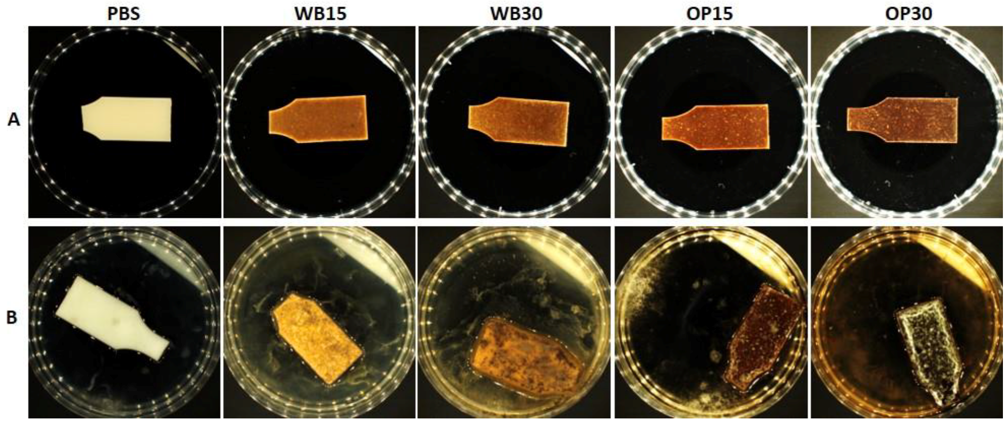 Materials 18 00293 g008
