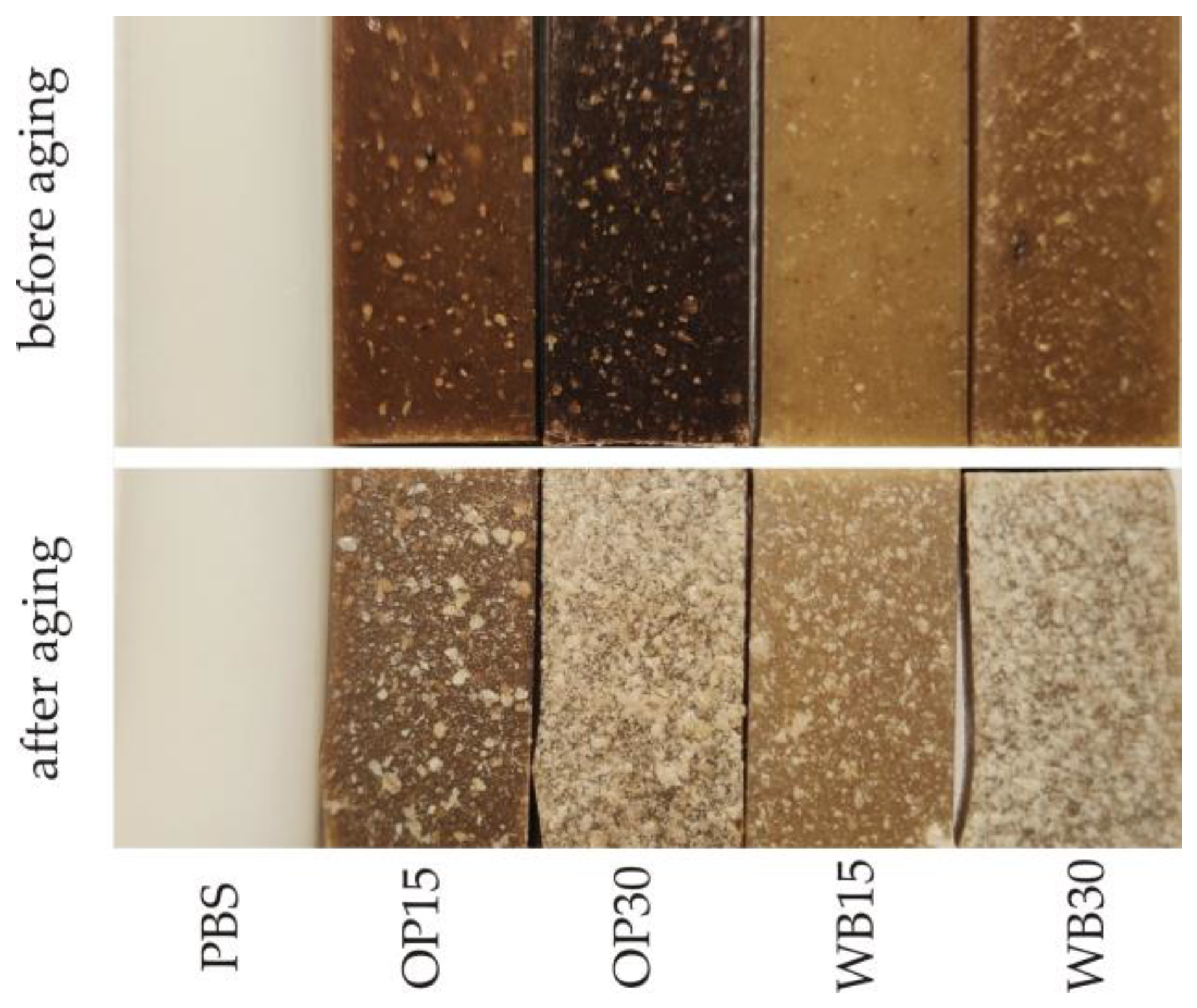 Materials 18 00293 g010