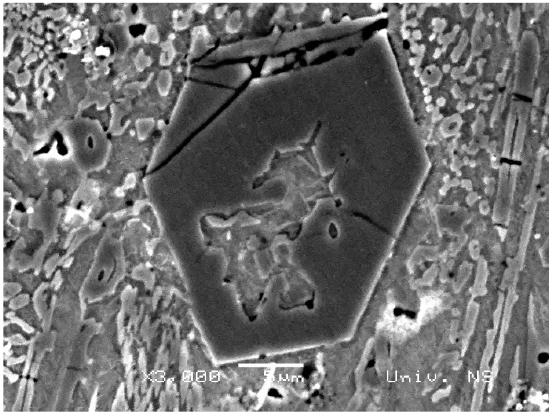 Materials 18 00299 g005