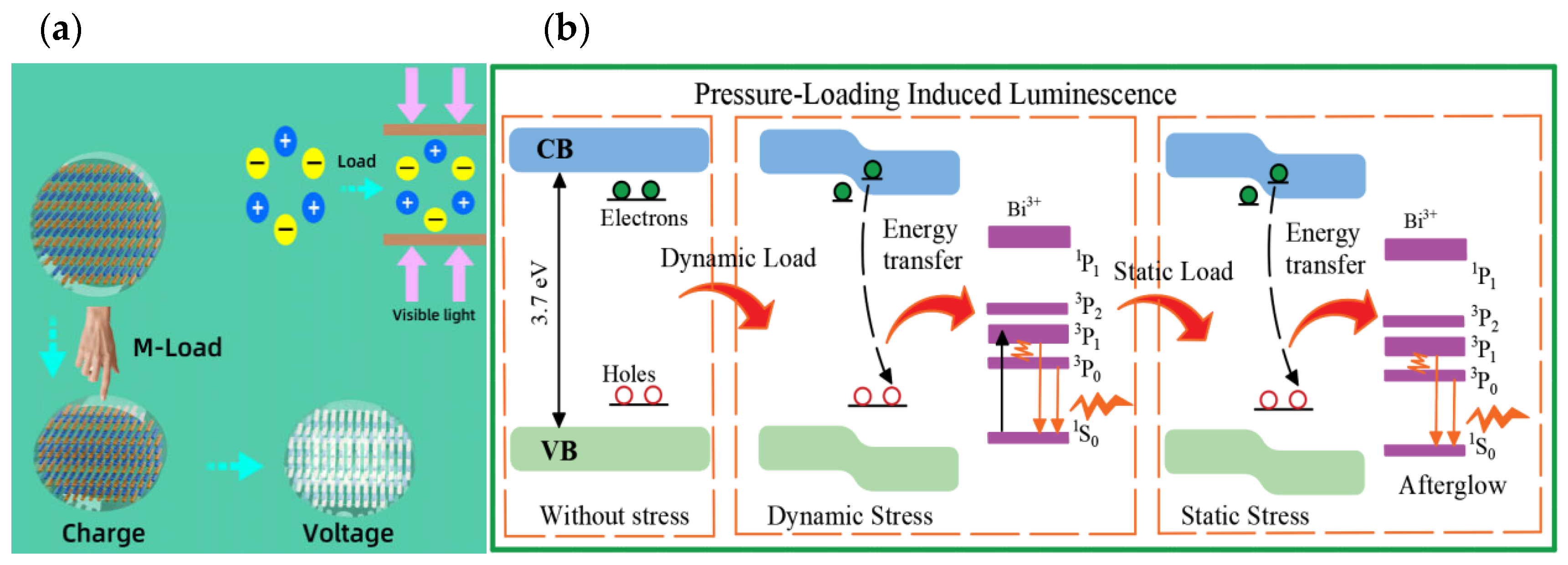Materials 18 00331 g008
