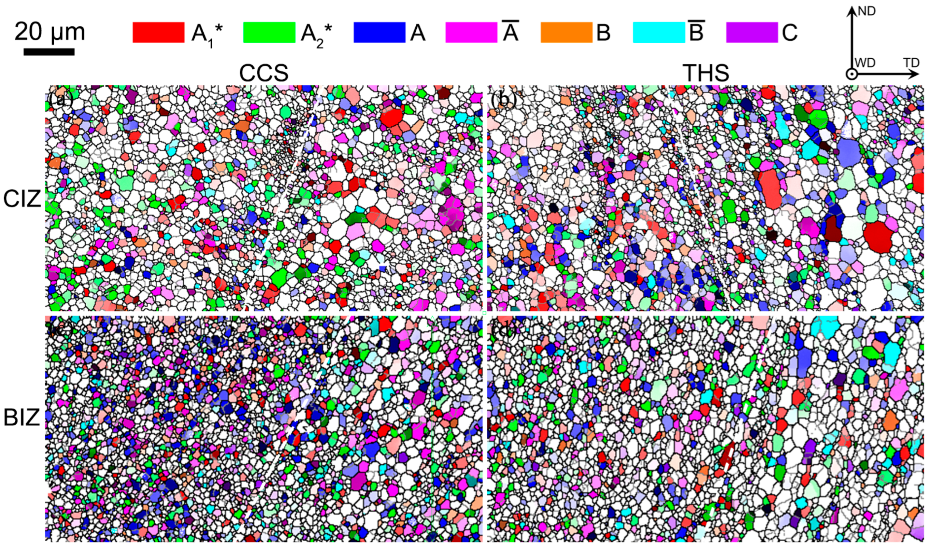 Materials 18 00340 g007