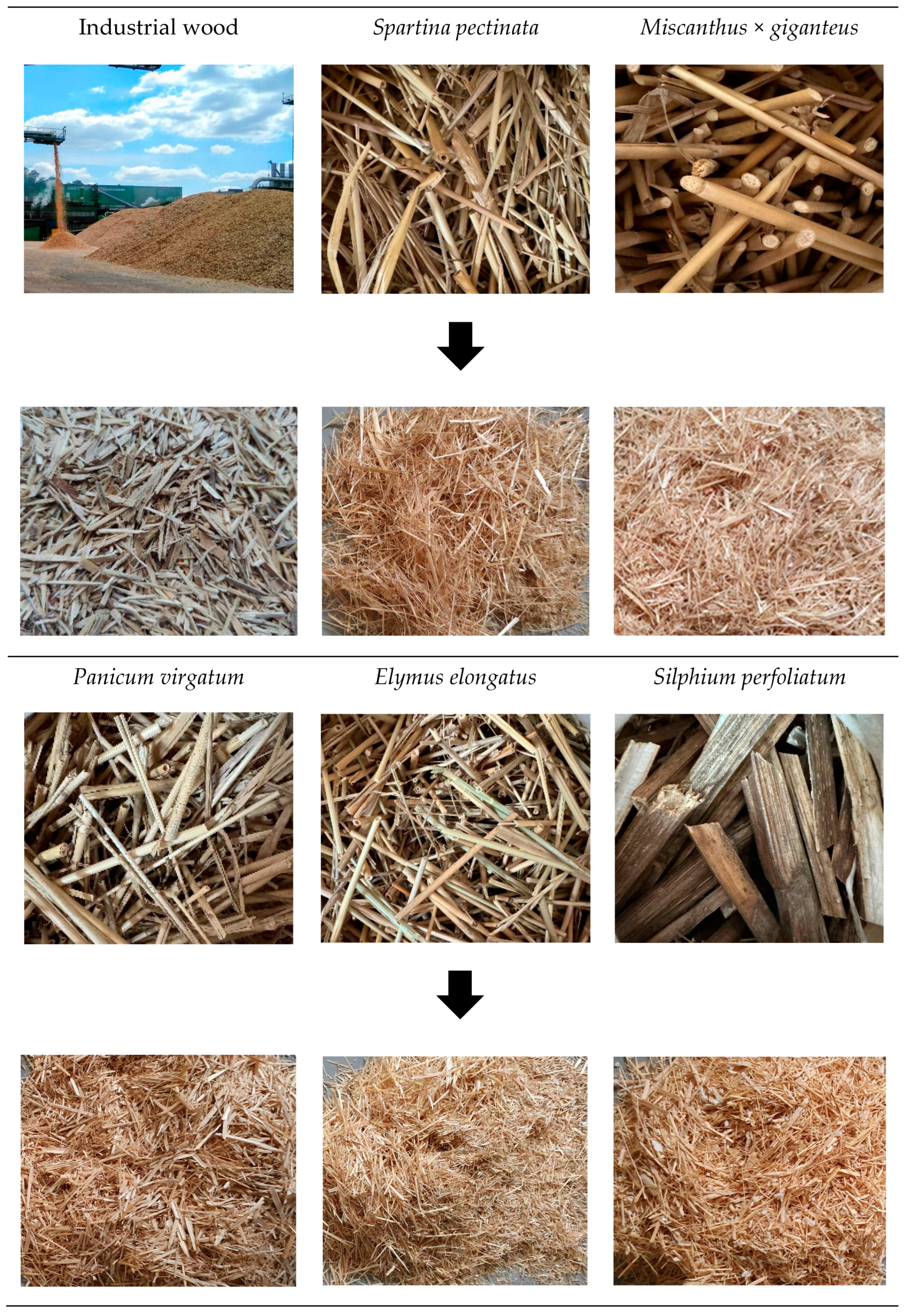 Materials 18 00352 g001 Materials 18 00352 g001