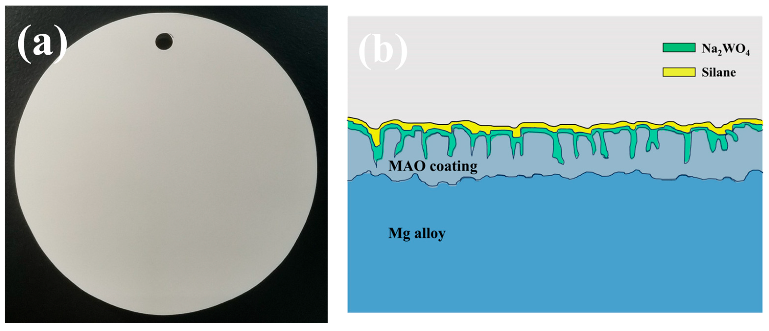 Materials 18 00361 g002
