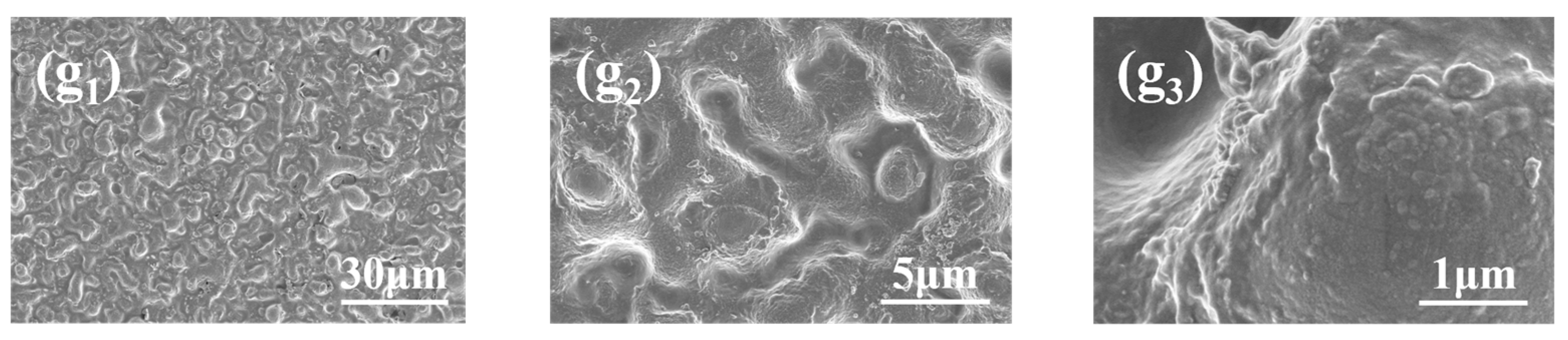 Materials 18 00361 g006b