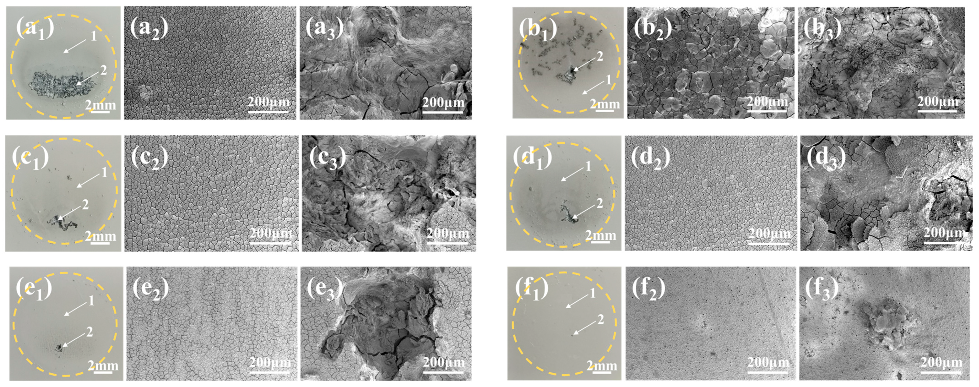 Materials 18 00361 g012